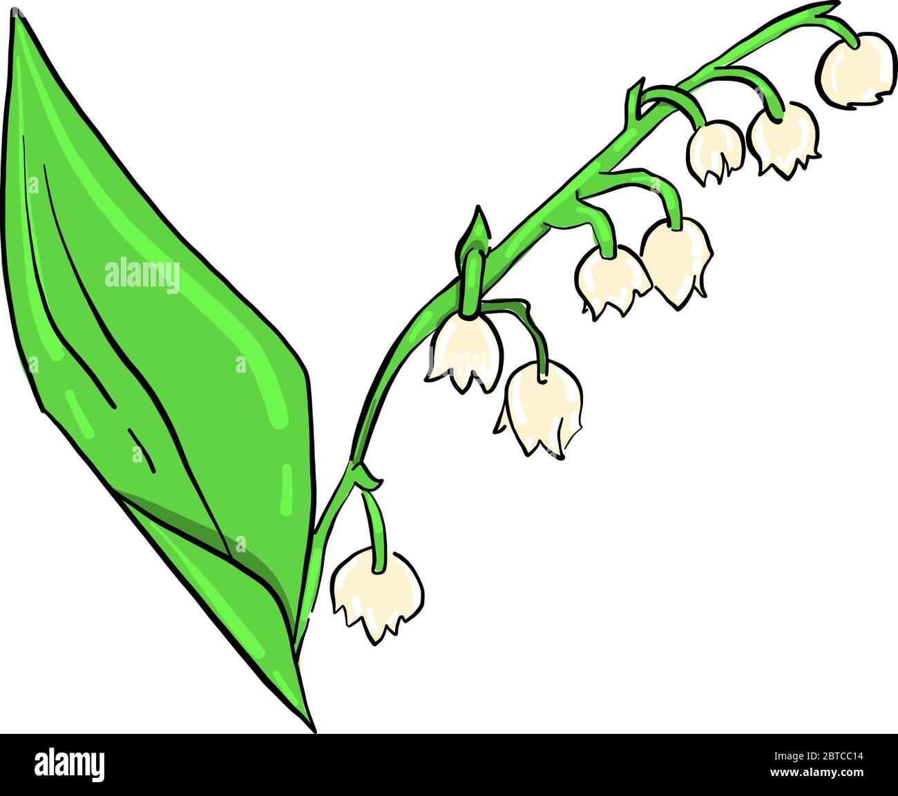 Flower spring lily valley green Stock Vector Images - Alamy