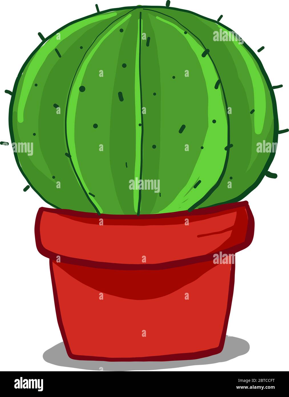 Round cactus in pot , illustration, vector on white background Stock