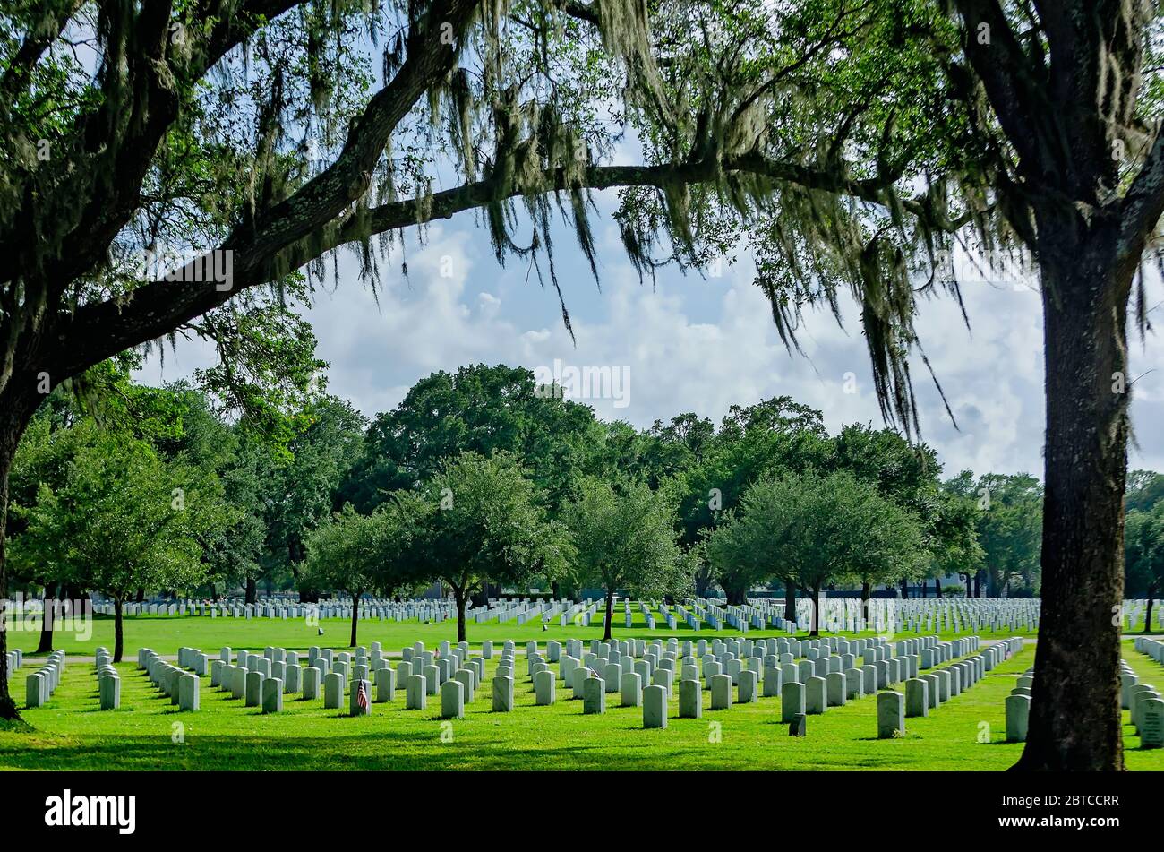 Veterans’ graves stand unadorned for Memorial Day in Biloxi National Cemetery, May 23, 2020, in Biloxi, Mississippi. Stock Photo