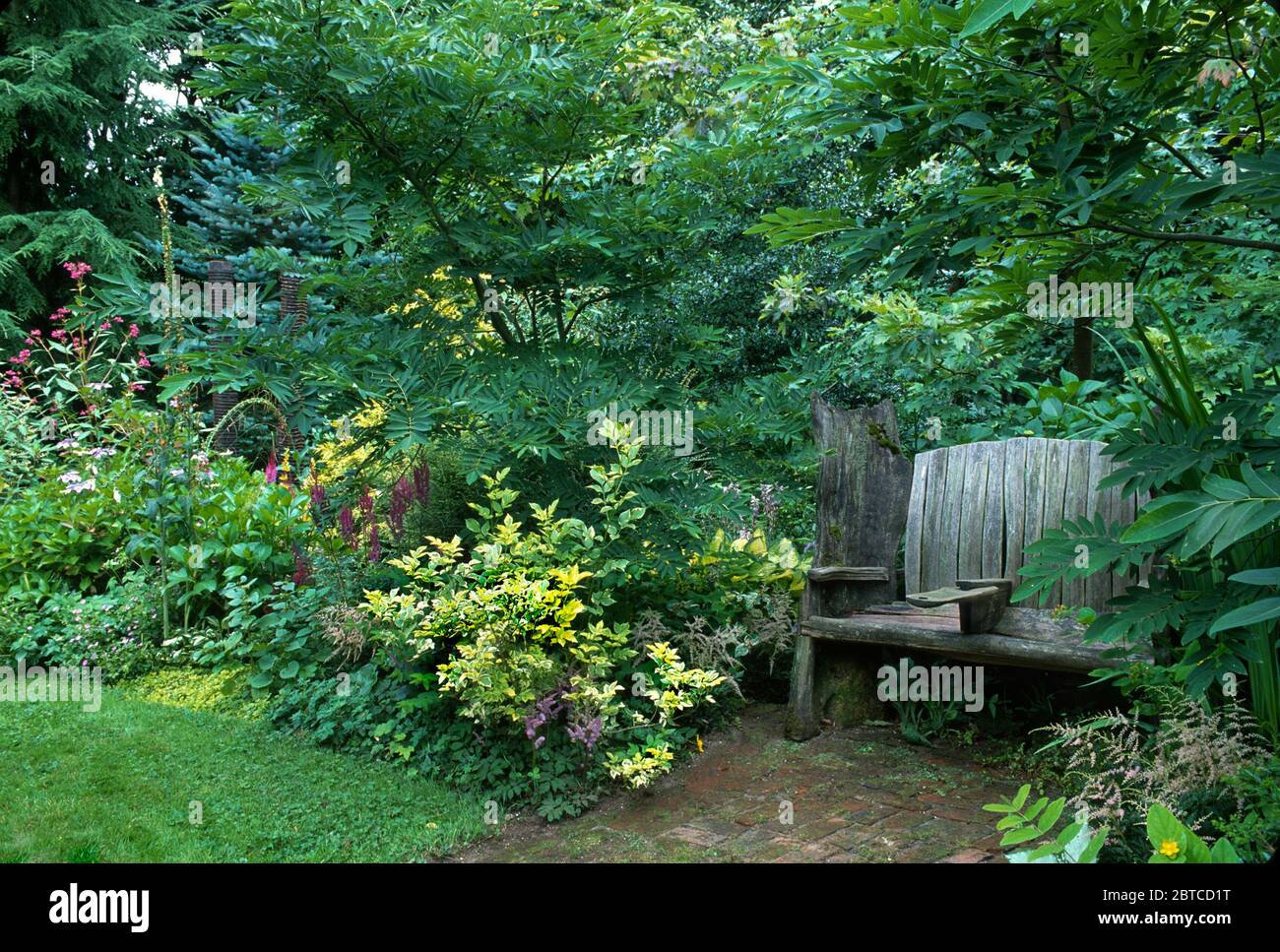 Rustic bench in shade garden Stock Photo