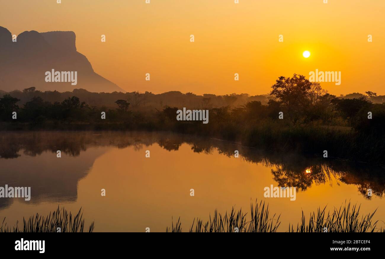 Panorama of Hanging Lip or Hanglip mountain at sunrise in the mist by a swamp lake, Entabeni Safari Game Reserve, Limpopo Province, South Africa. Stock Photo