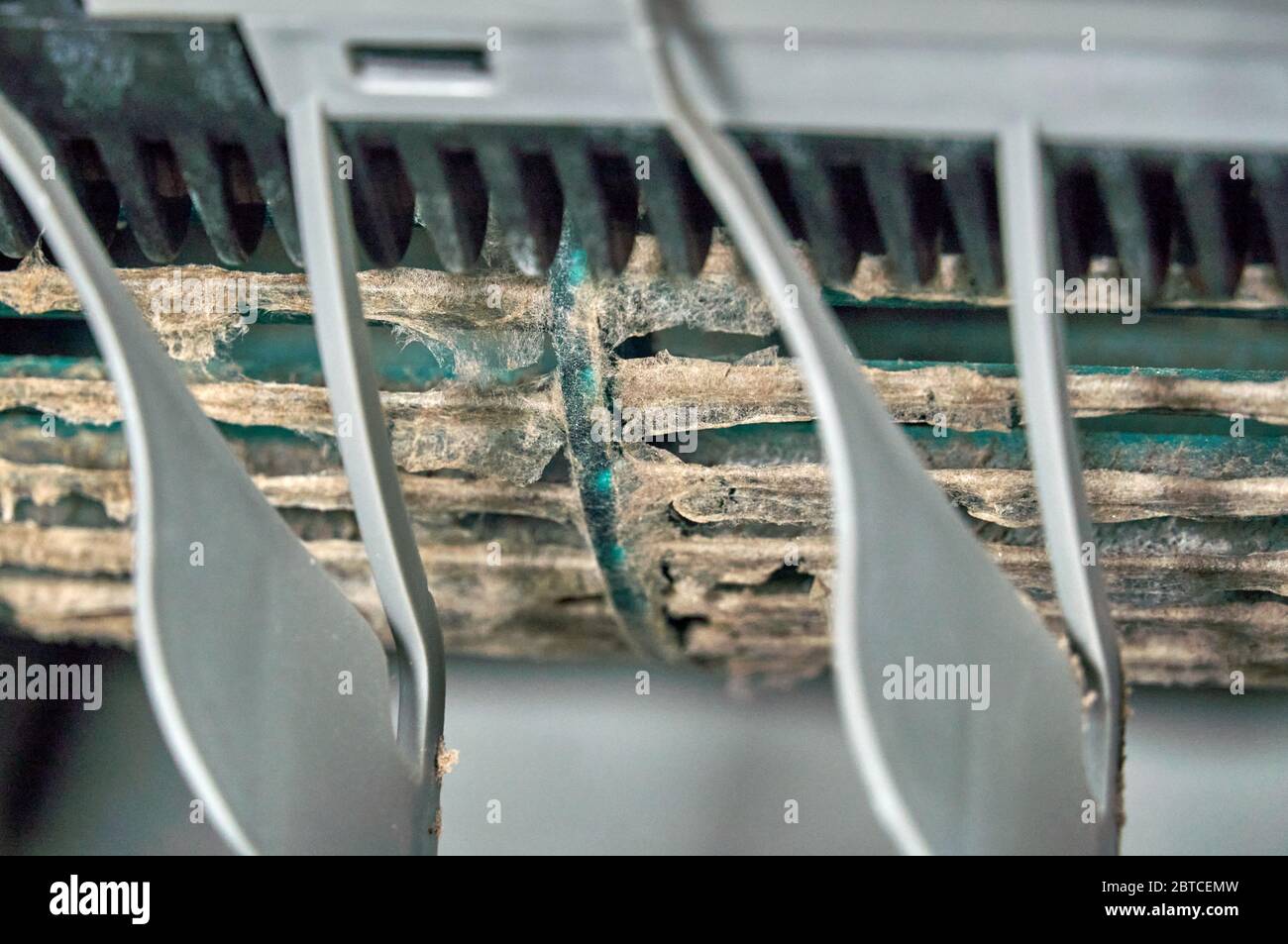 Mold and dust inside of air conditioner, close up picture, selective focus.  Mold and dust inside of air conditioner can be dangerous for health and ca  Stock Photo - Alamy
