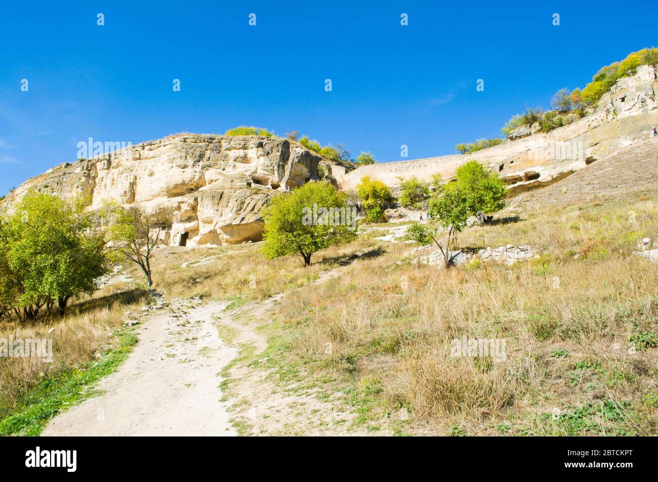 Climbing scenic trees hi-res stock photography and images - Alamy
