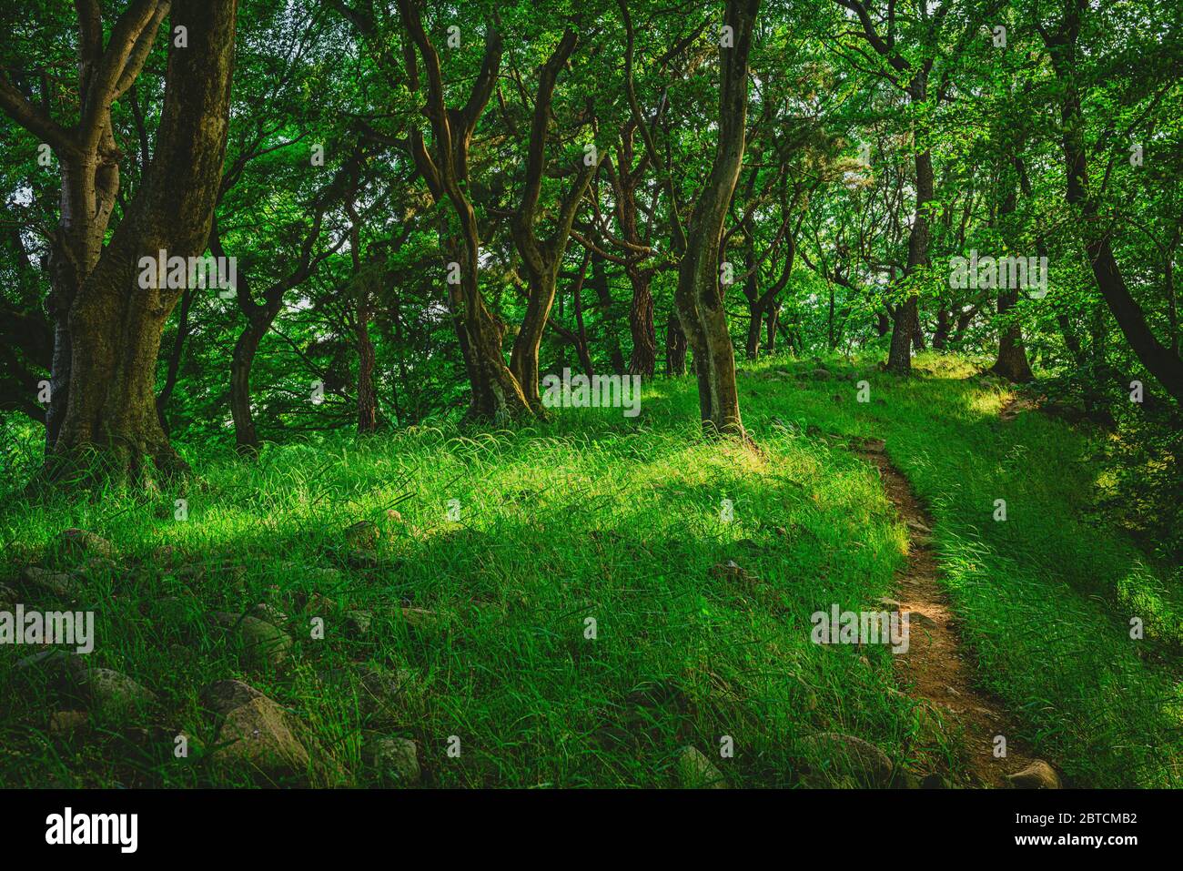 Gyeongju, South Korea - 22 May 2020: Many of the areas of Gyeongju are preserved without reconstruction, leaving natural walking trails around spaces. Stock Photo