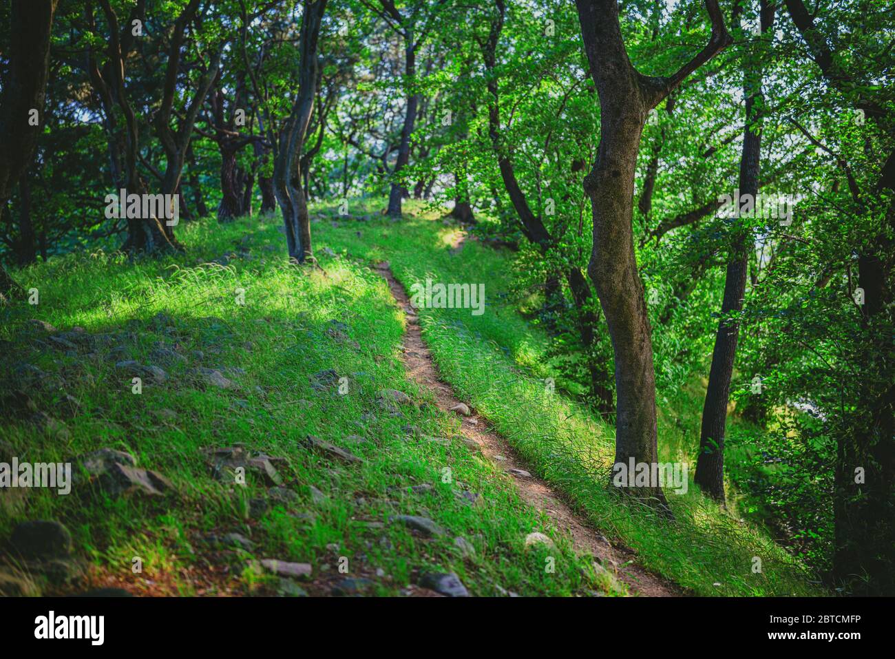 Gyeongju, South Korea - 22 May 2020: Many of the areas of Gyeongju are preserved without reconstruction, leaving natural walking trails around spaces. Stock Photo