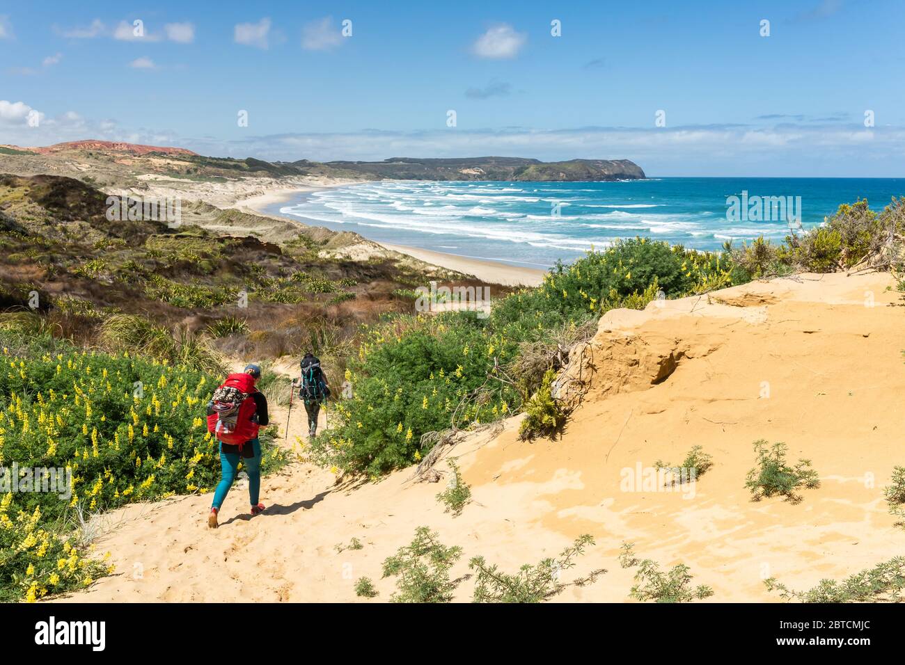 Two hikers walking a coastal track, part of Te Araroa, New Zealand's long distance trail, New Zealand, October 2019 Stock Photo