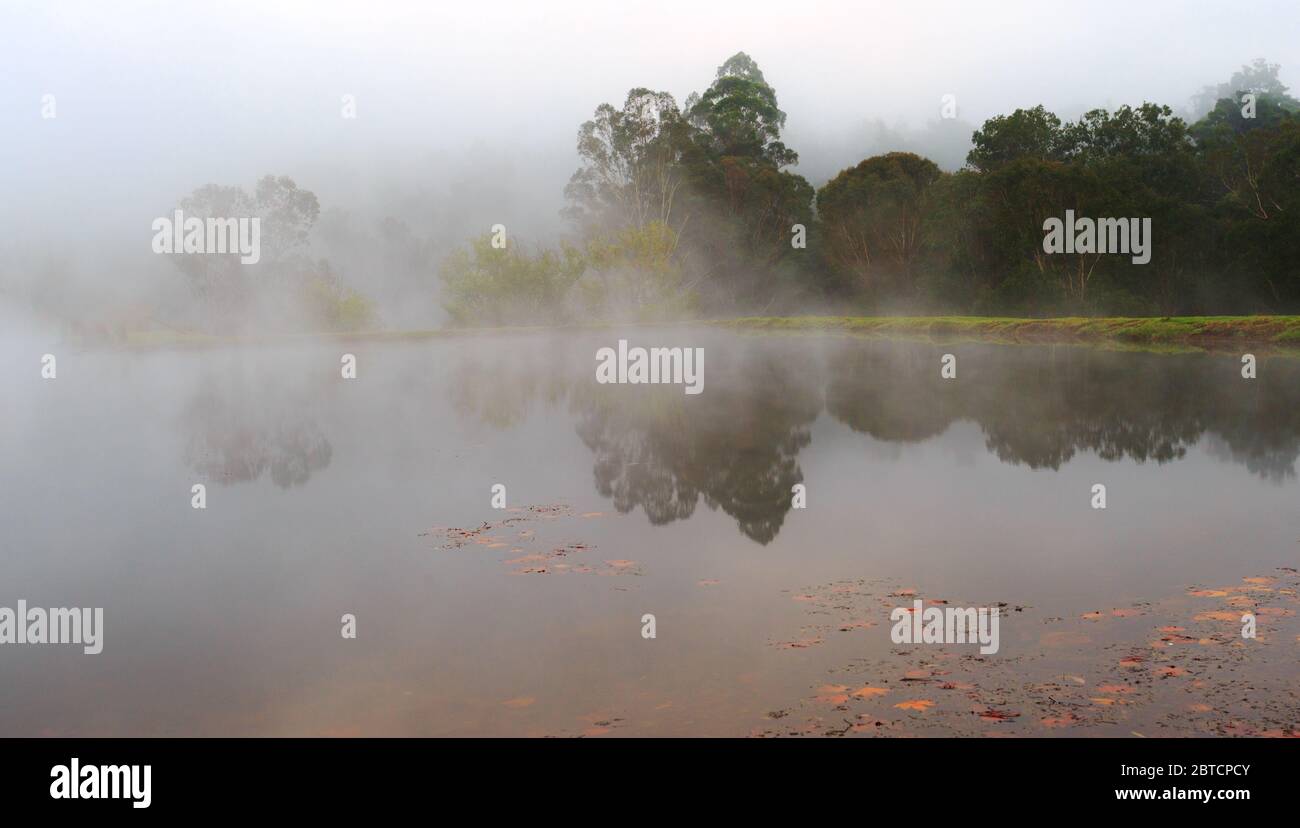 Misty Autumn morning at the lake Stock Photo - Alamy