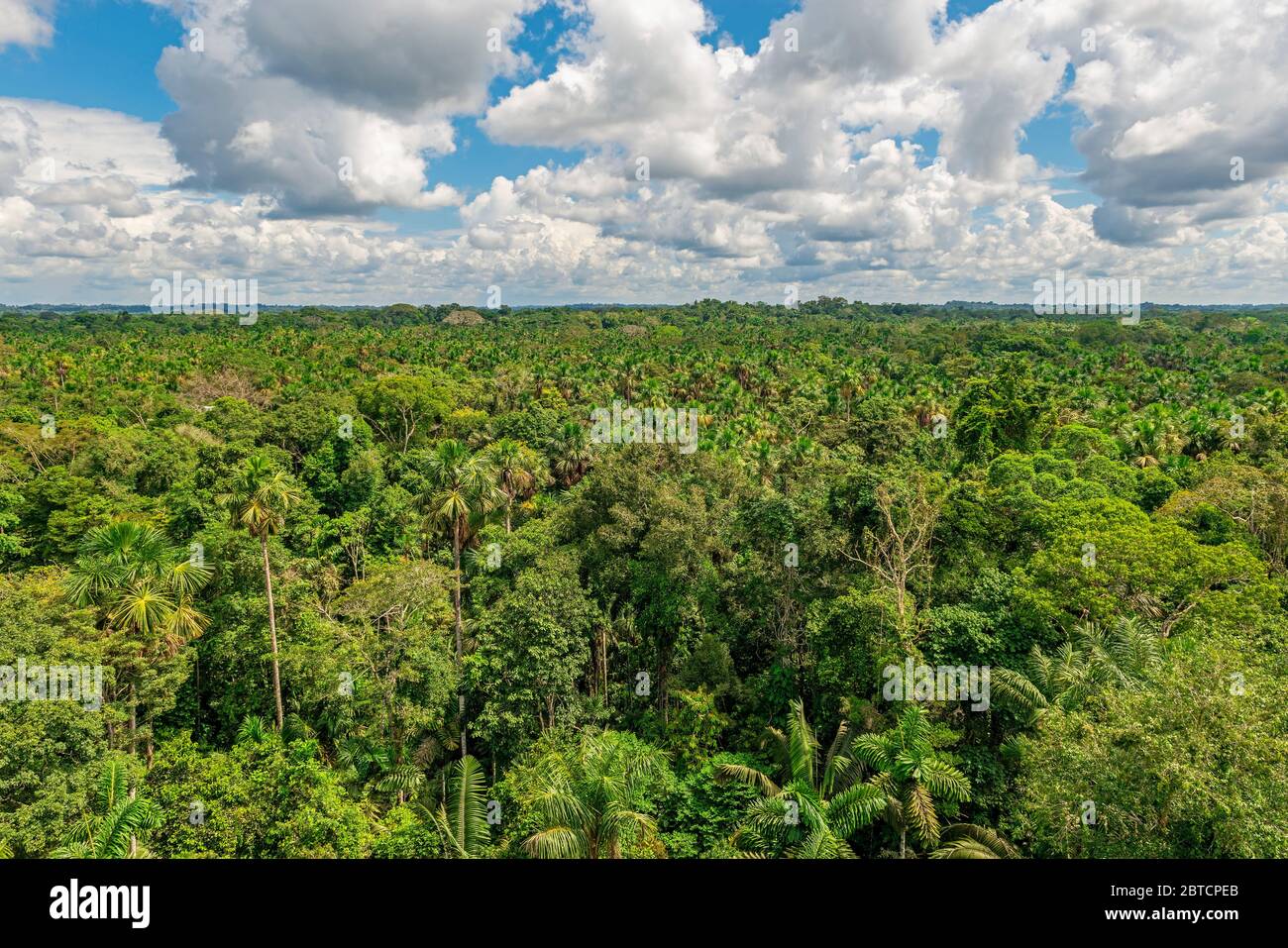 Aerial view of the Amazon Rainforest which comprise the countries of Brazil, Bolivia, Colombia, Ecuador, (French) Guyana, Peru, Suriname and Venezuela. Stock Photo