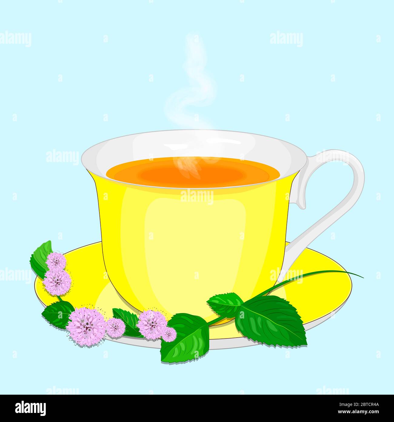 Spearmint pot Stock Vector Images - Alamy