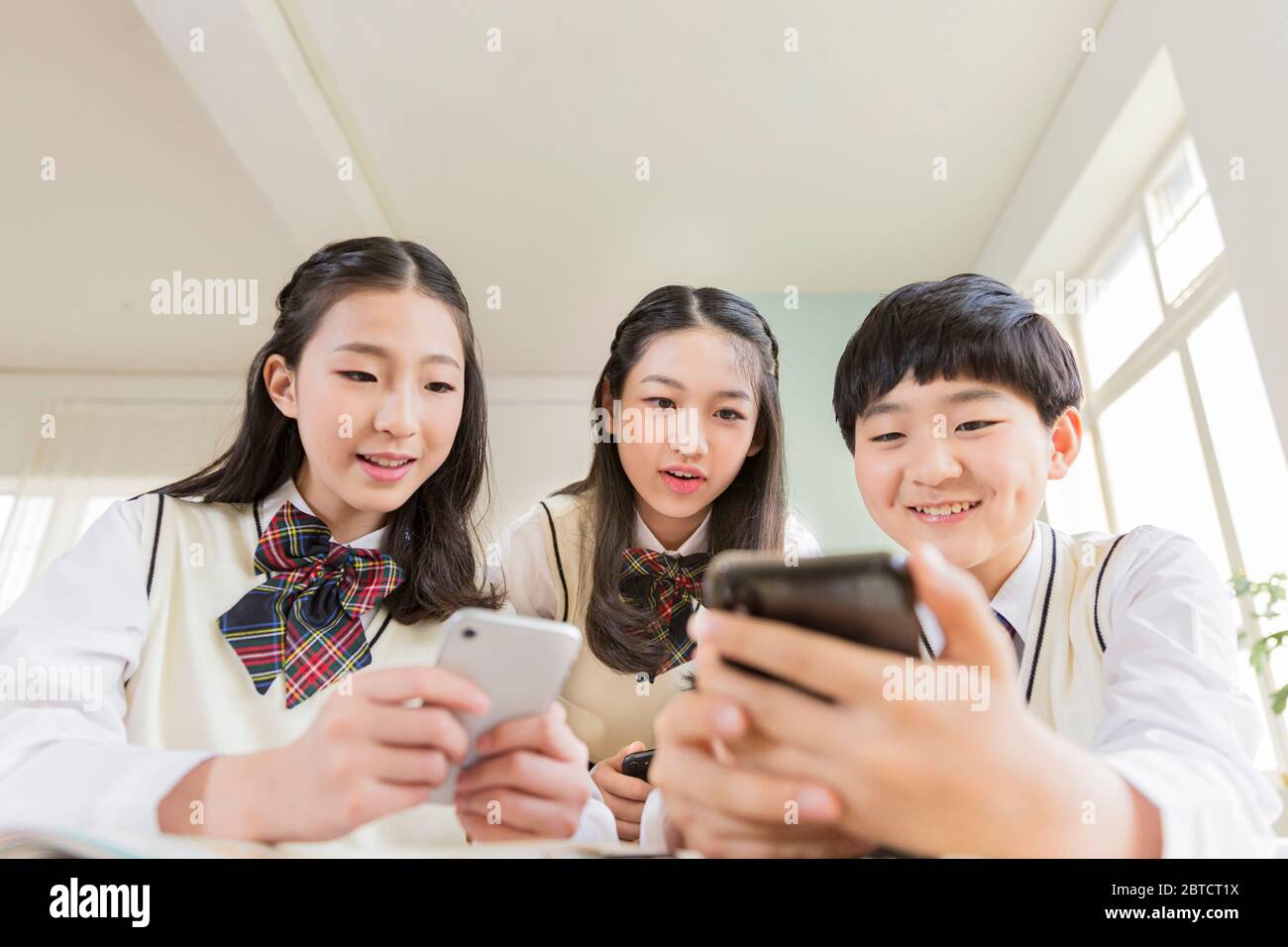 Group of school students portrait, happy smiling male and female students 302 Stock Photo