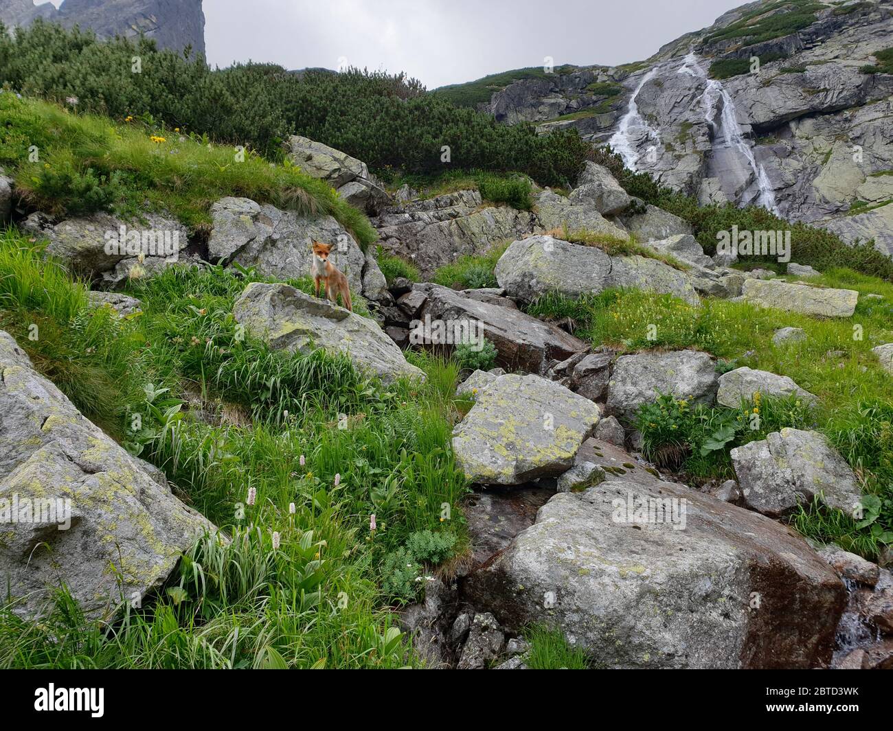 Stone wall in the mountains Stock Photo