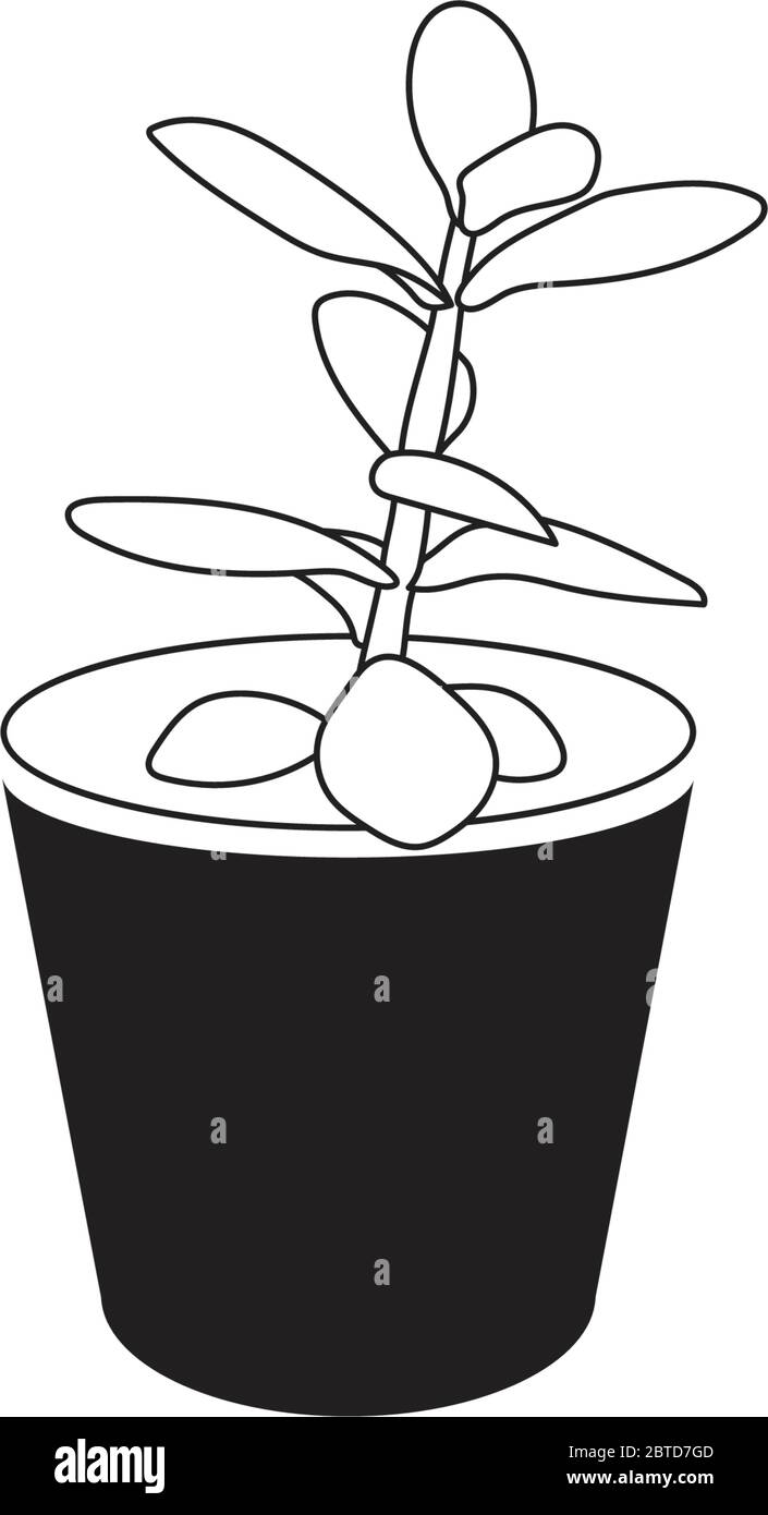 Modern and Minimalist Jade Plant in Dark Grey Pot Line Art. Isolated on White Stock Vector
