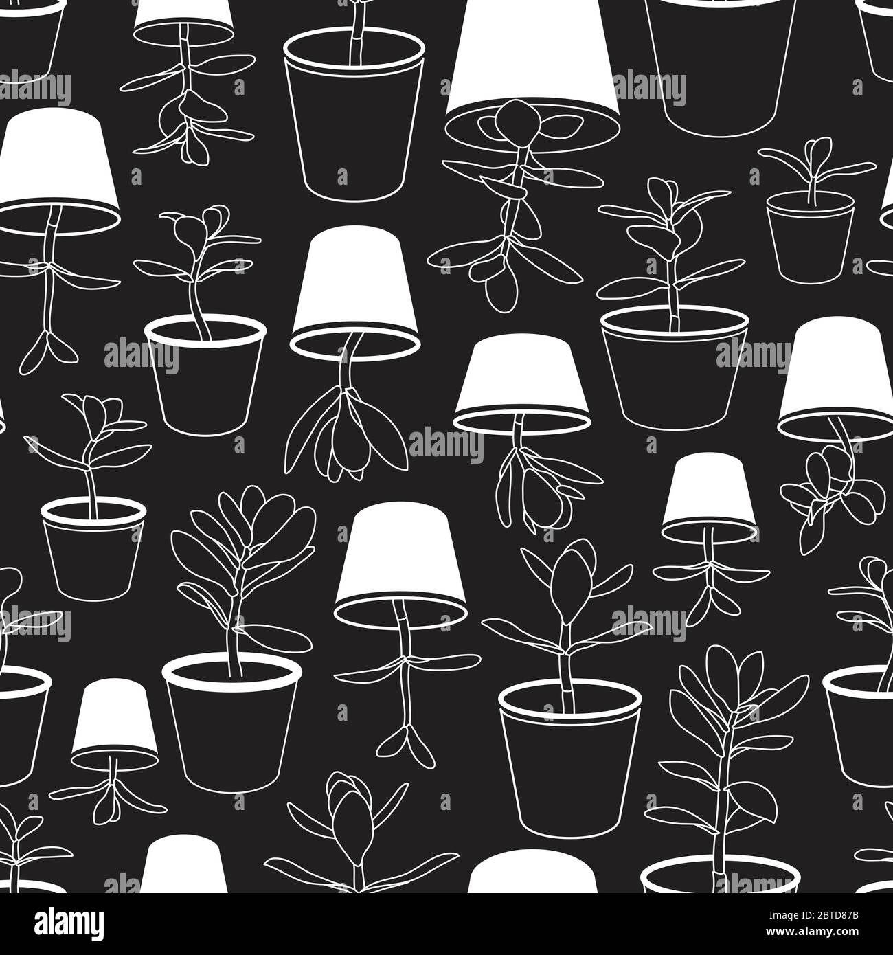 Jade Plants in Pots Vector Drawing Black and White Seamless Pattern. Money Plant Design Stock Vector