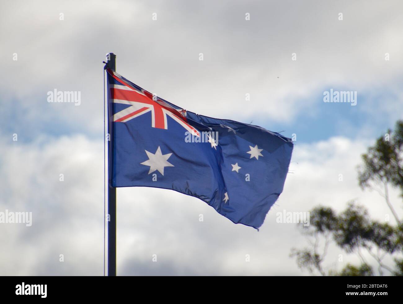 Australian national flag flying against a cloudy blue sky with a gum tree Stock Photo
