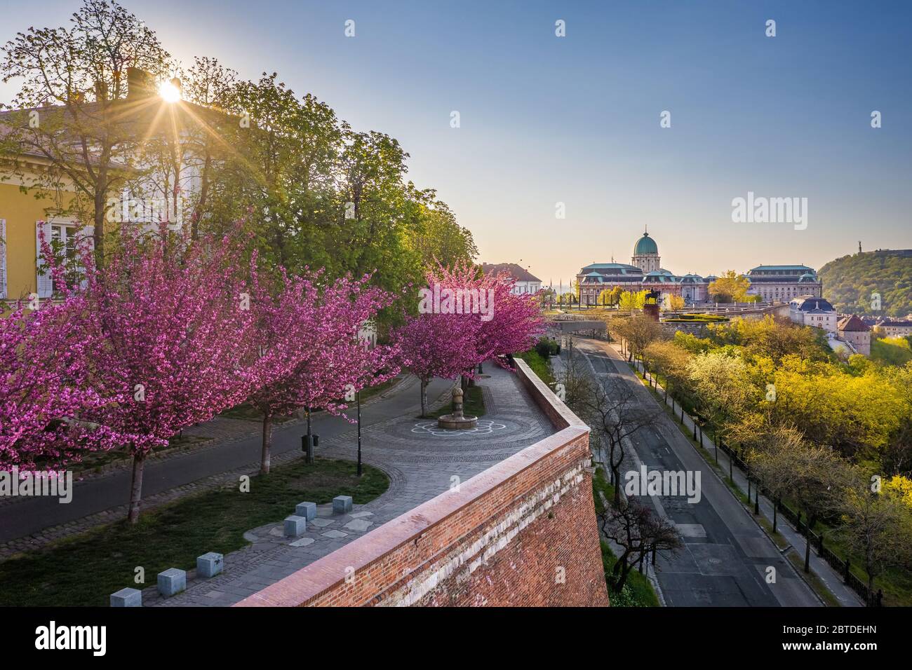 Budapest, Hungary - Aerial view of Arpad Toth Promenade (Toth Arpad setany) at spring sunrise with beautiful japanese cherry trees blossom and Buda Ca Stock Photo