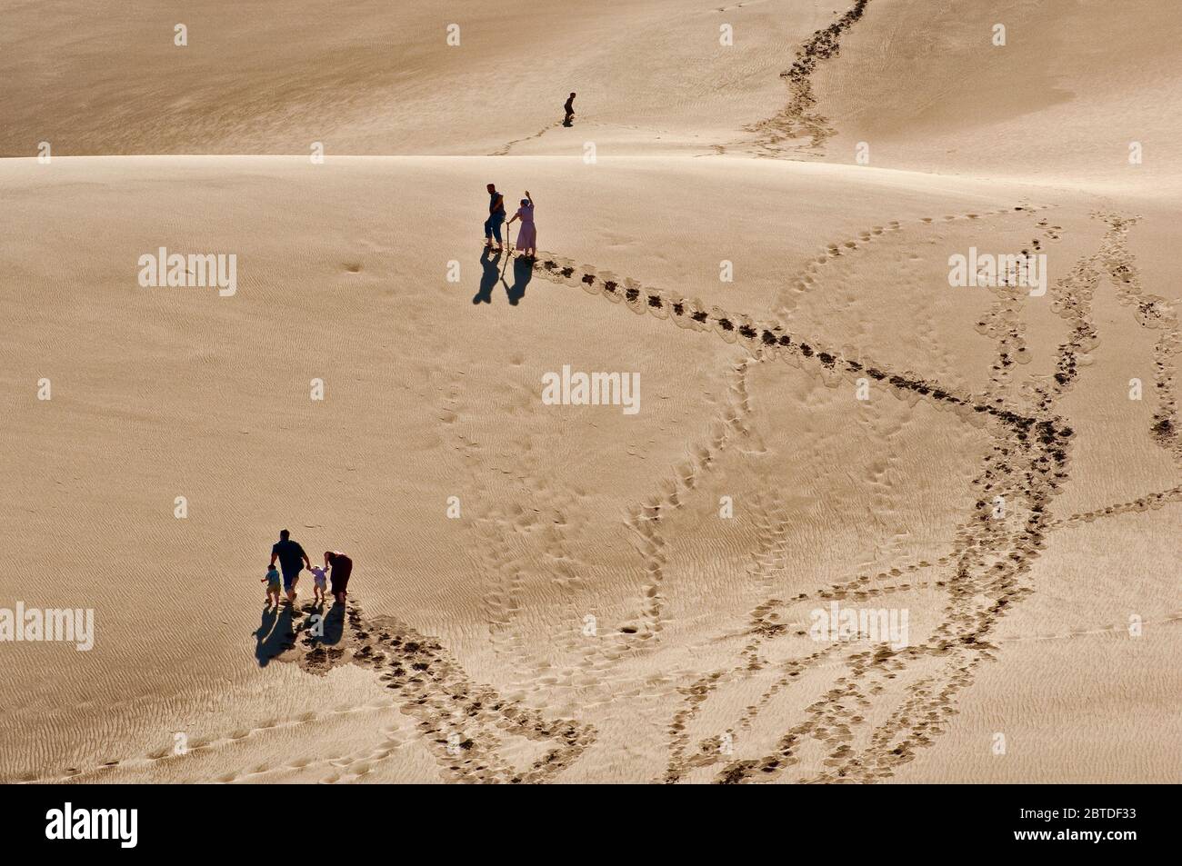 Visitors climbing dunes over Castle Creek in Great Sand Dunes National Park, Colorado, USA Stock Photo