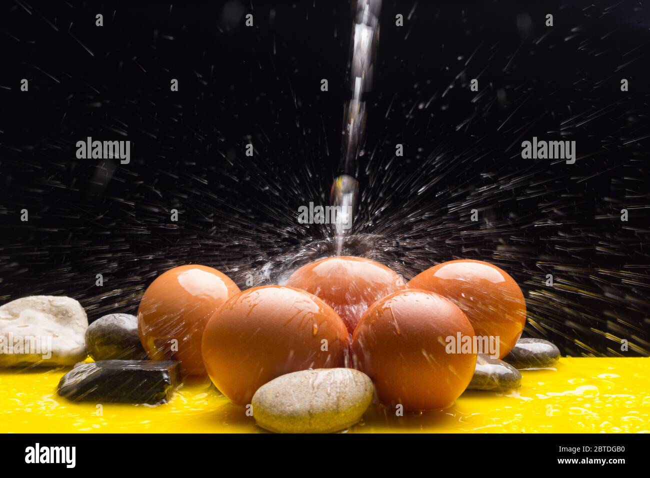 Farm fresh chicken eggs, washing eggs. The shell and shape of the egg