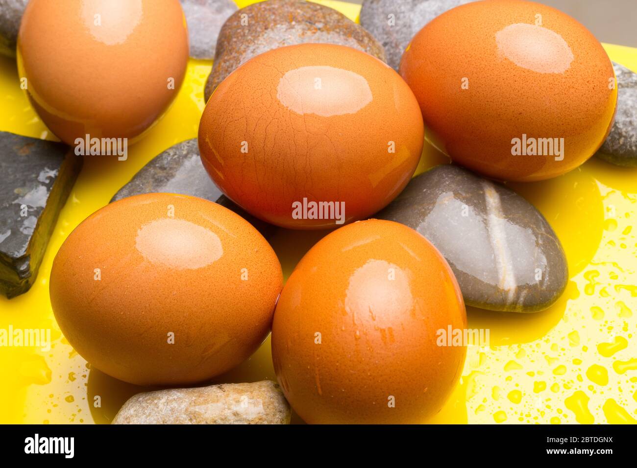Farm fresh chicken eggs, washing eggs. The shell and shape of the egg
