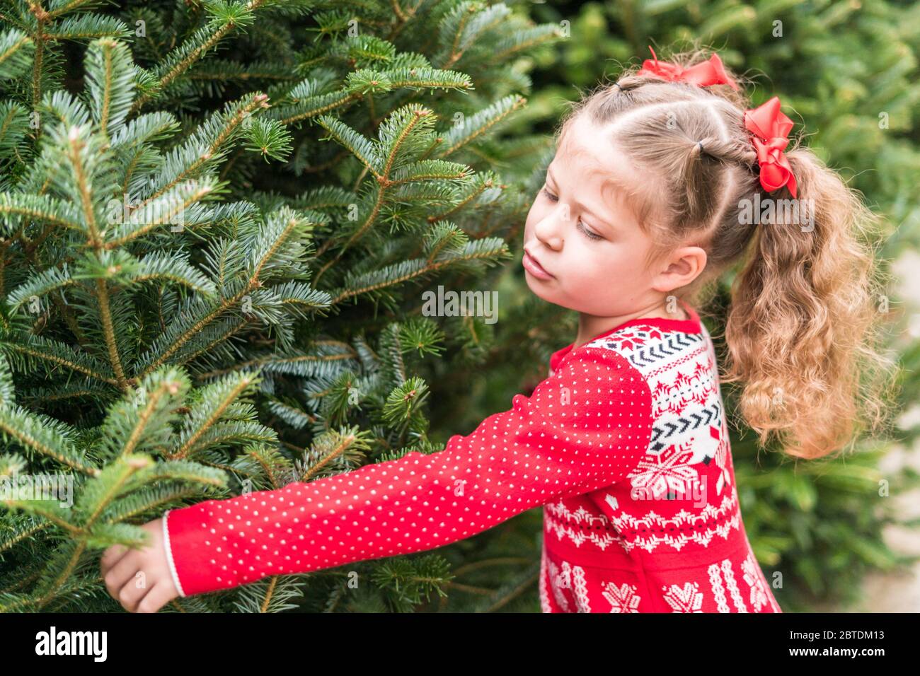 Little girl in red dress at the Christmas tree farm Stock Photo - Alamy