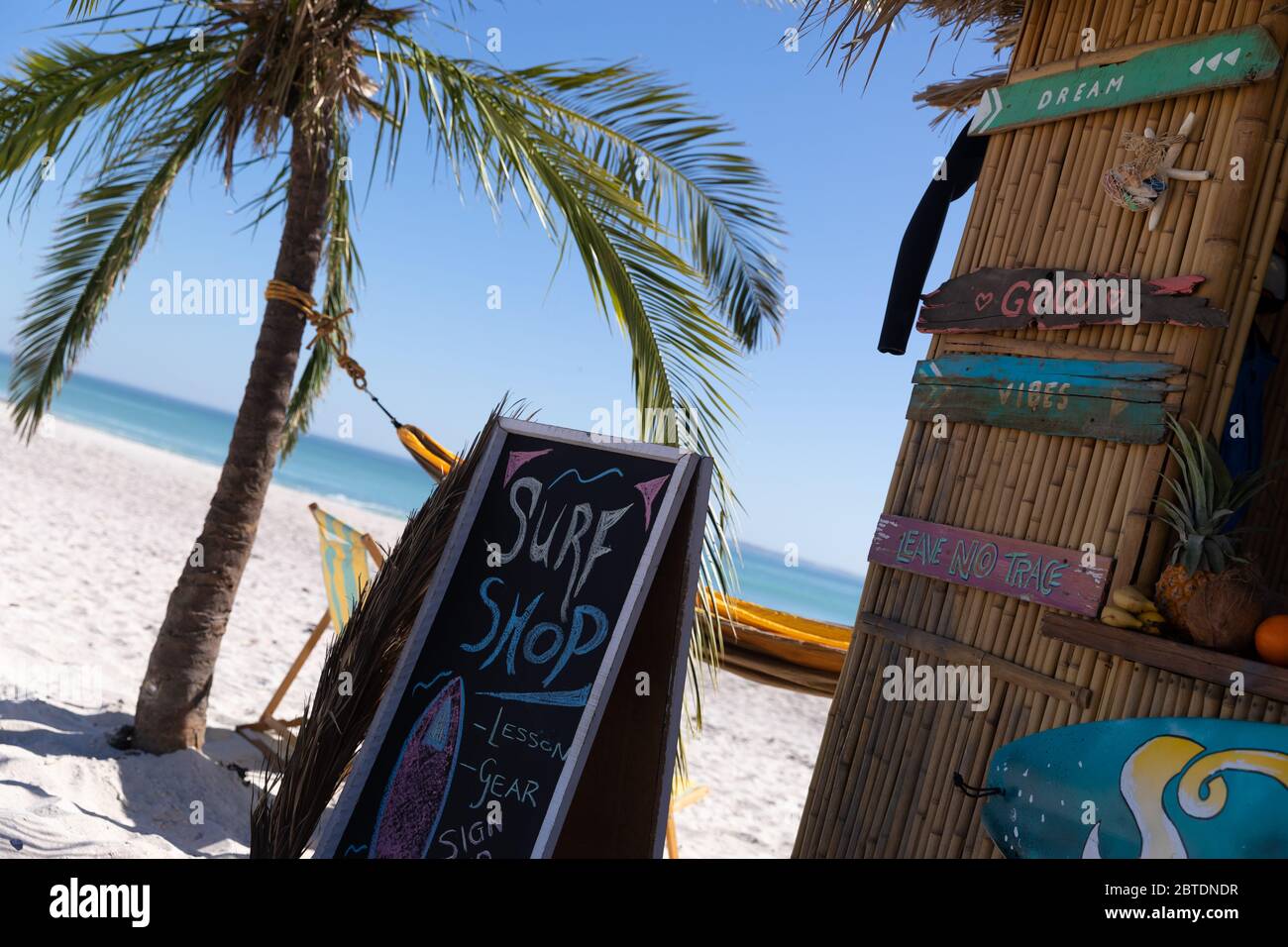 Magnificent view of a beach with a palm tree and a surf shop Stock Photo