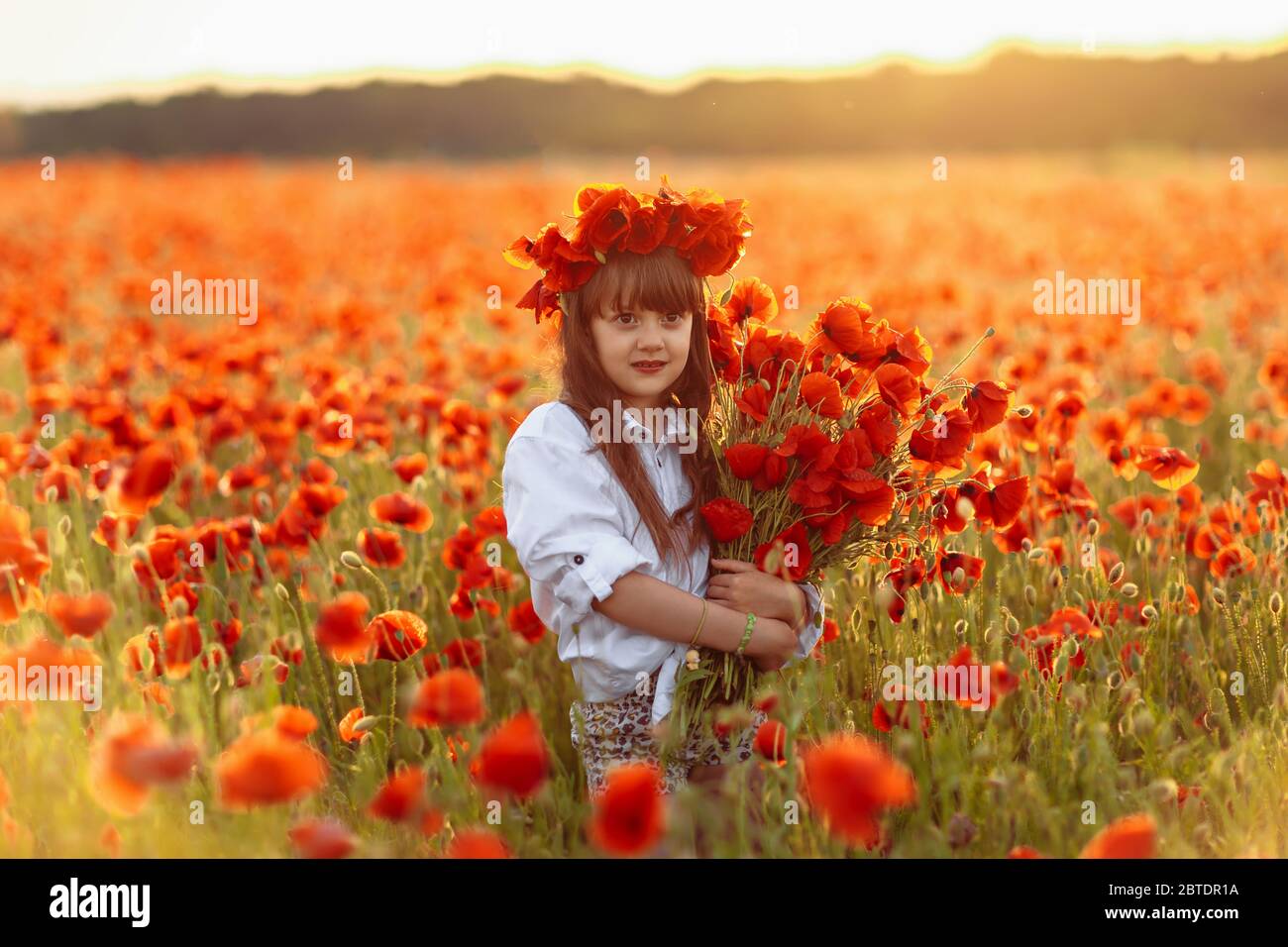 Little cute girl in white dress playing field poppy wreath with a