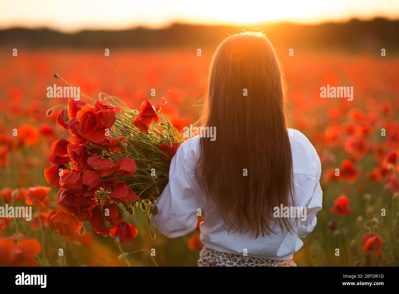 Little longhaired girl in white dress posing at field of poppies with a ...