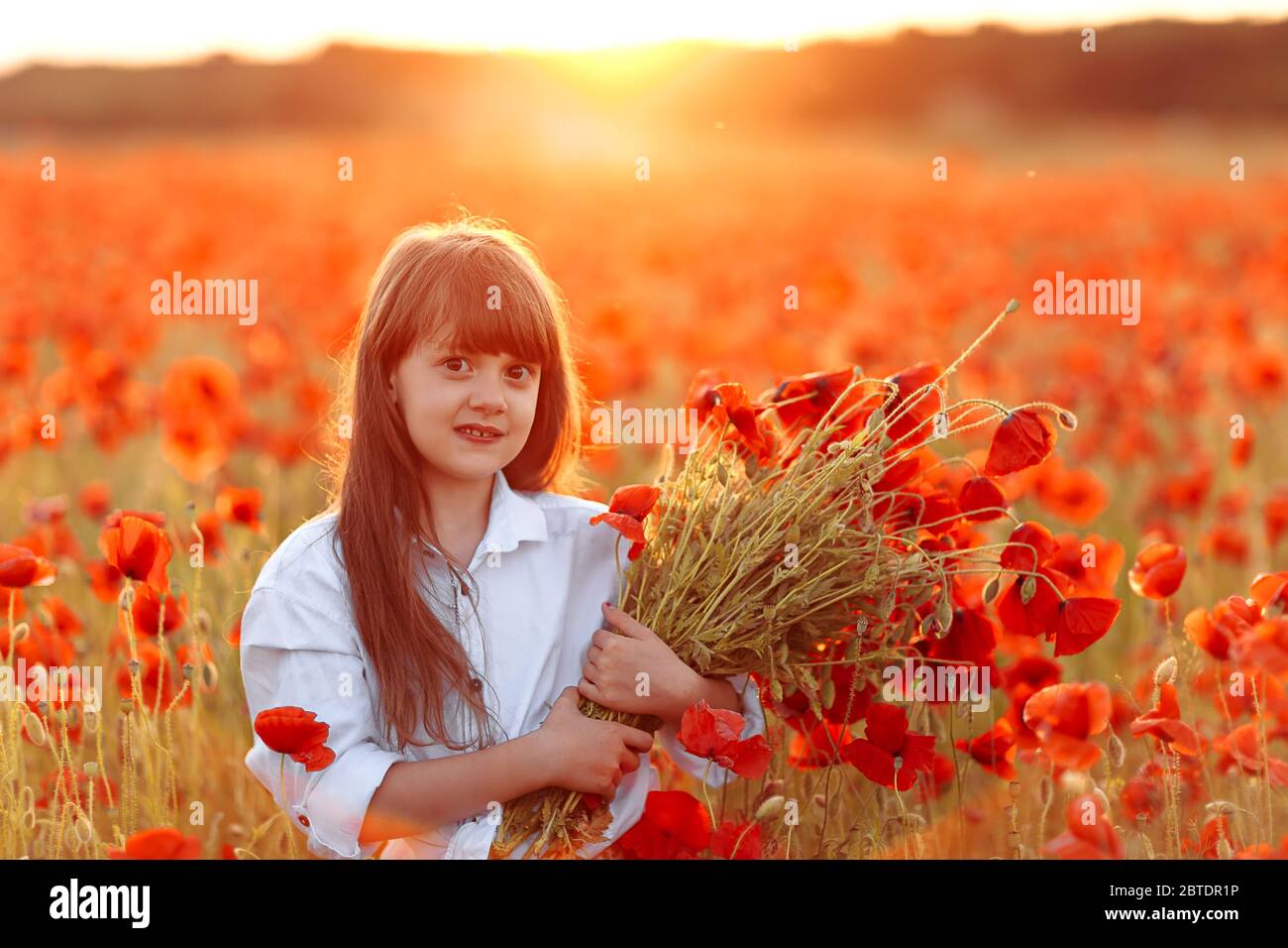 Little longhaired girl in white dress posing at field of poppies with a bouquet of poppies in her hands on summer sunset Stock Photo