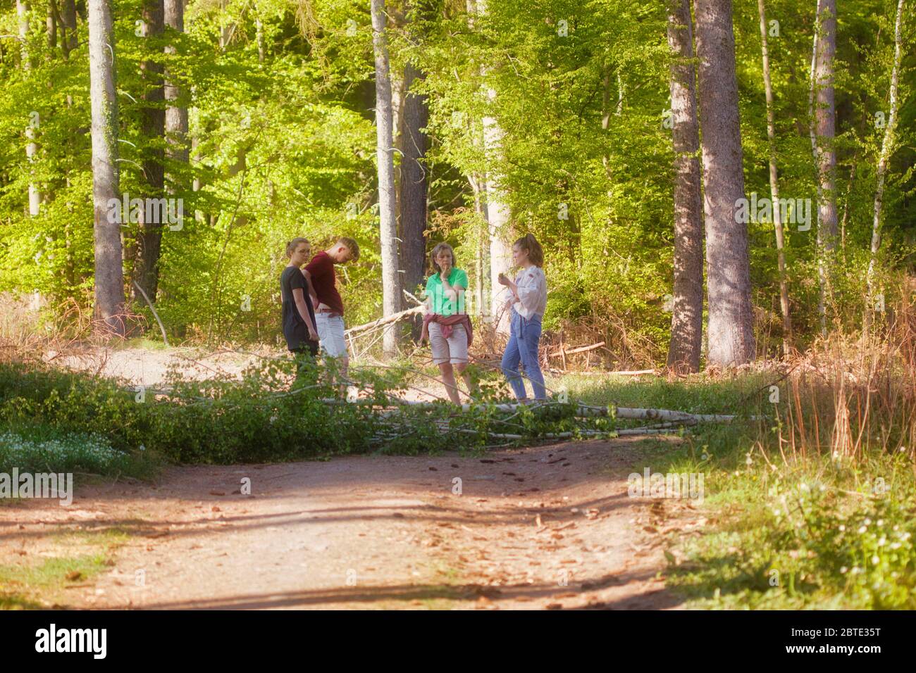 Teen girls standing in forest hi-res stock photography and images - Alamy