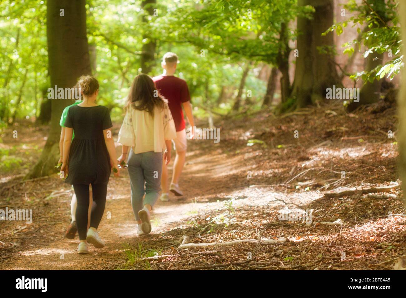 walk in the woods, Germany, North Rhine-Westphalia, Hagen-Hohenlimburg Stock Photo