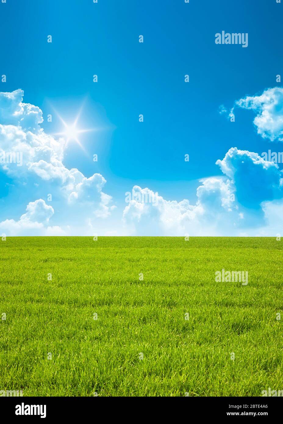 blue sky and a green field, composing, Germany Stock Photo