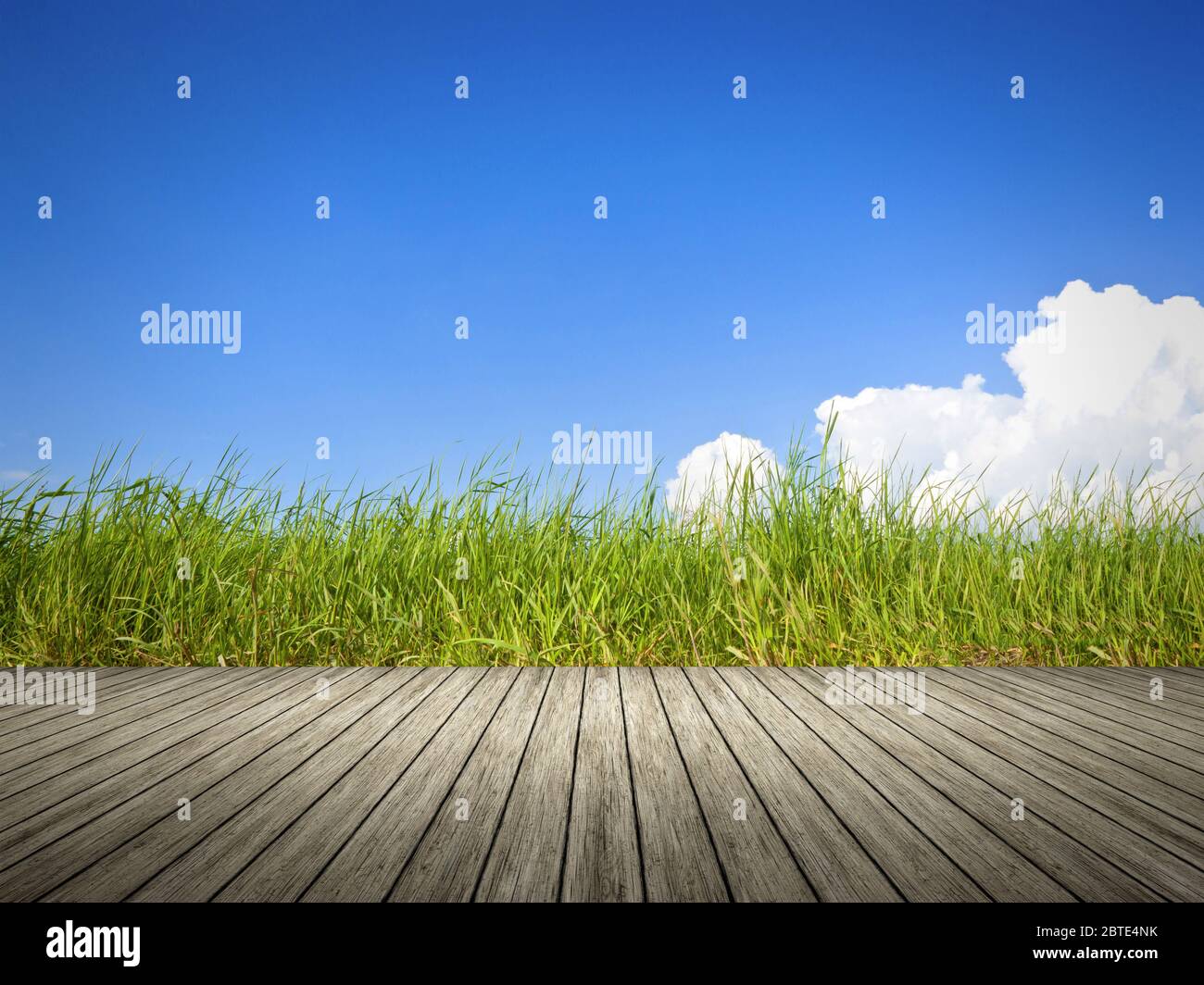 boardwalk, reed and blue sky with white cloud, composing, Germany, Bavaria Stock Photo