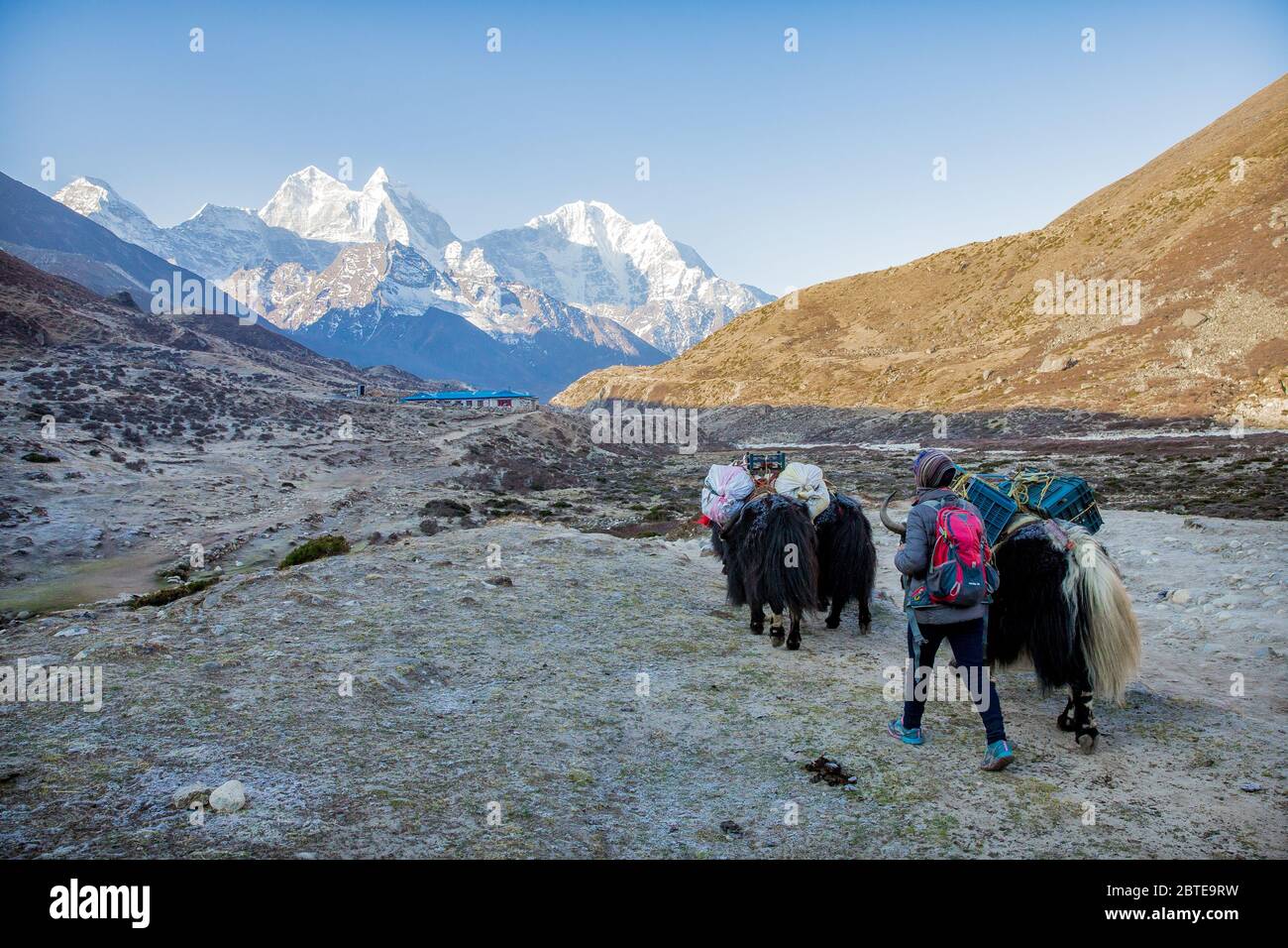 Everest Base Camp Trek Stock Photo