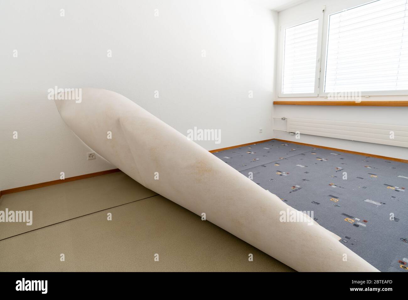 removing ugly old carpet in a bedroom during cleaning and renoavation work Stock Photo