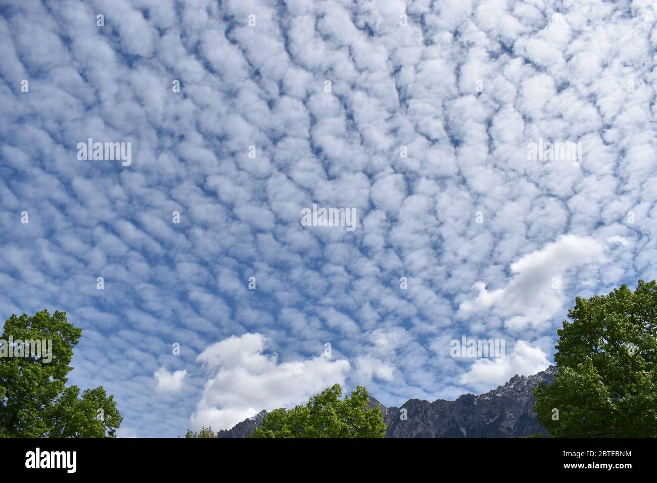 Altocumulus cloud in the blue sky Stock Photo - Alamy