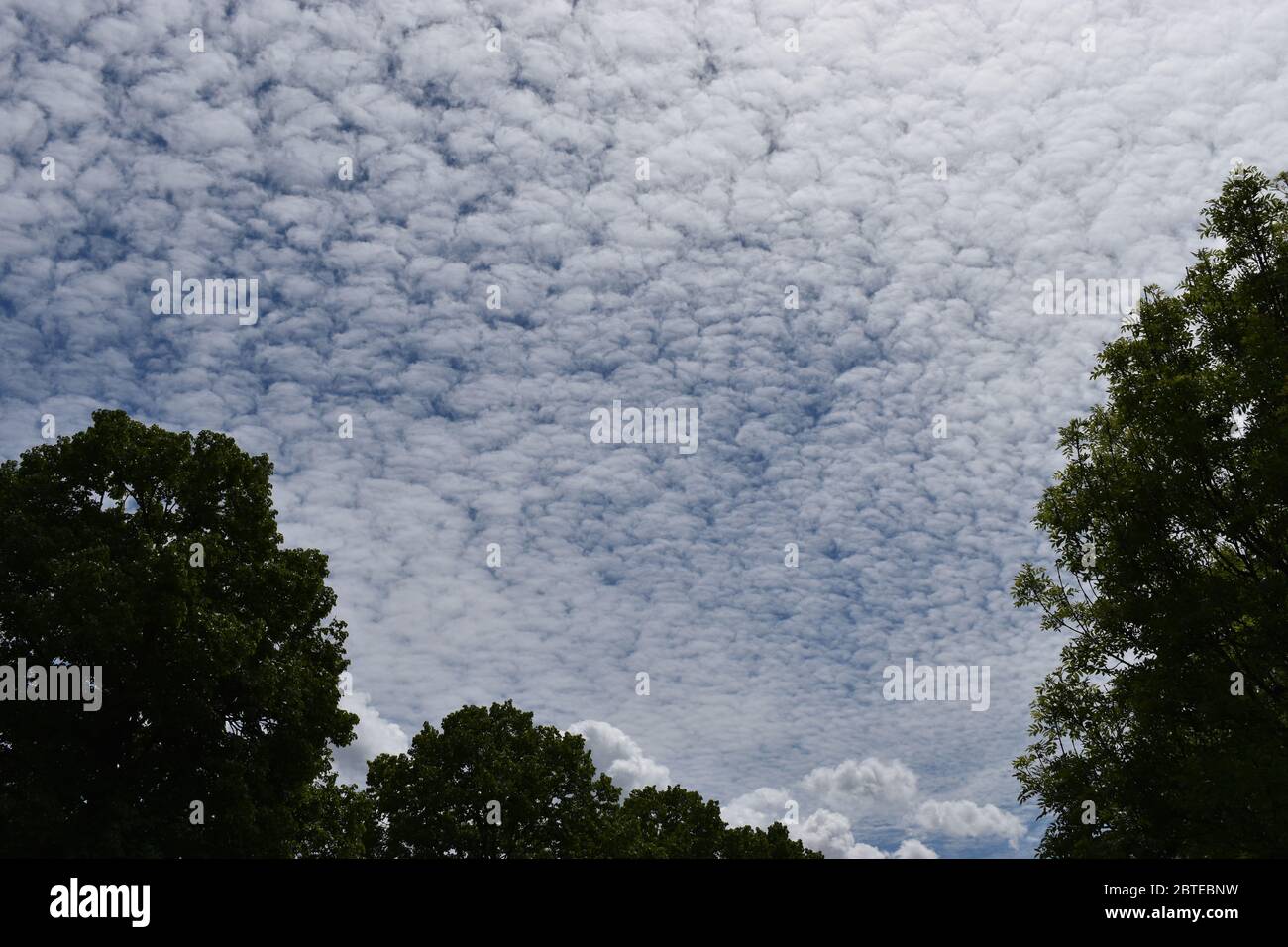 Altocumulus cloud in the blue sky Stock Photo - Alamy