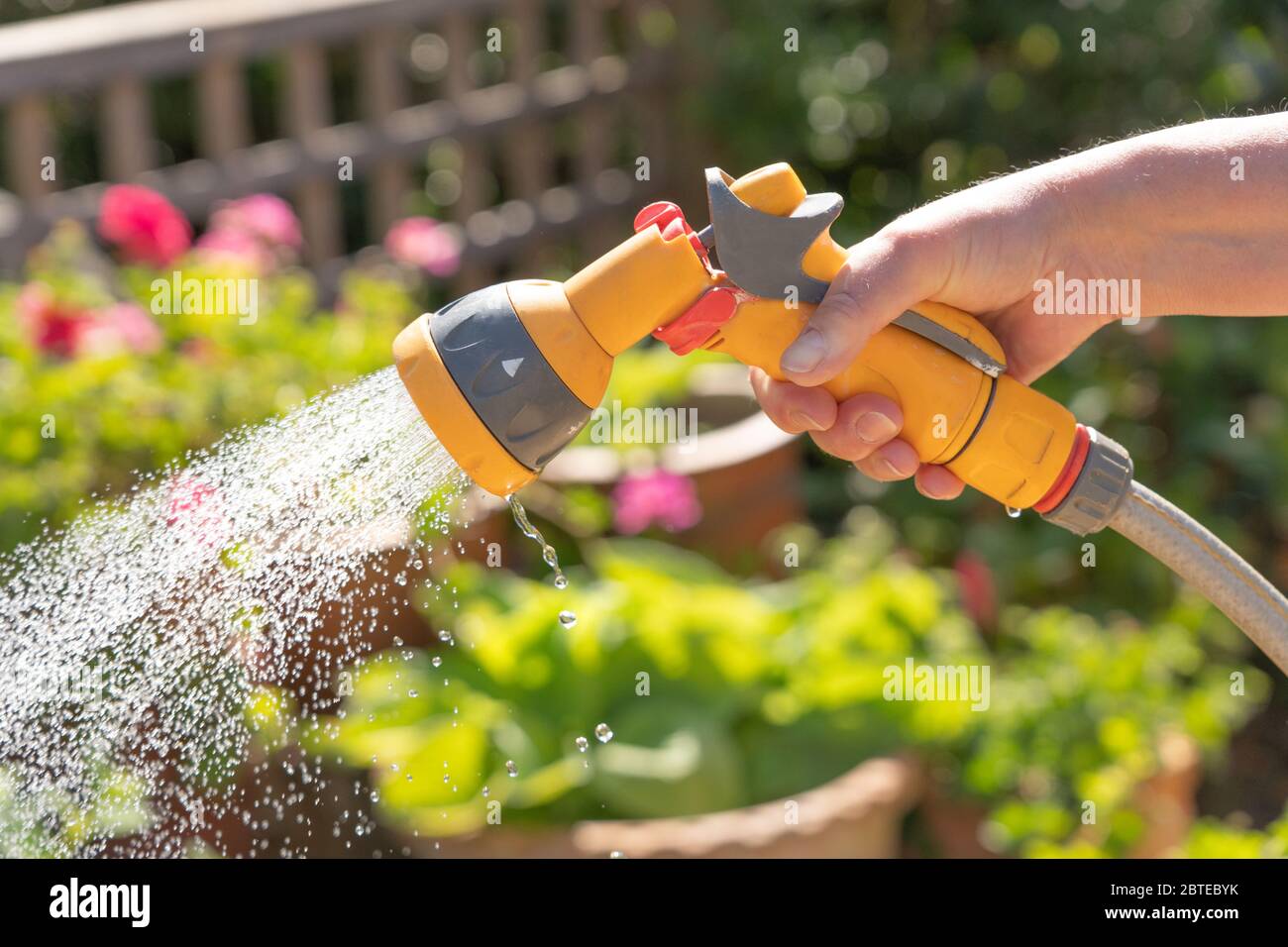 Female hand holding a watering hose spray gun watering plants in a garden. UK Stock Photo