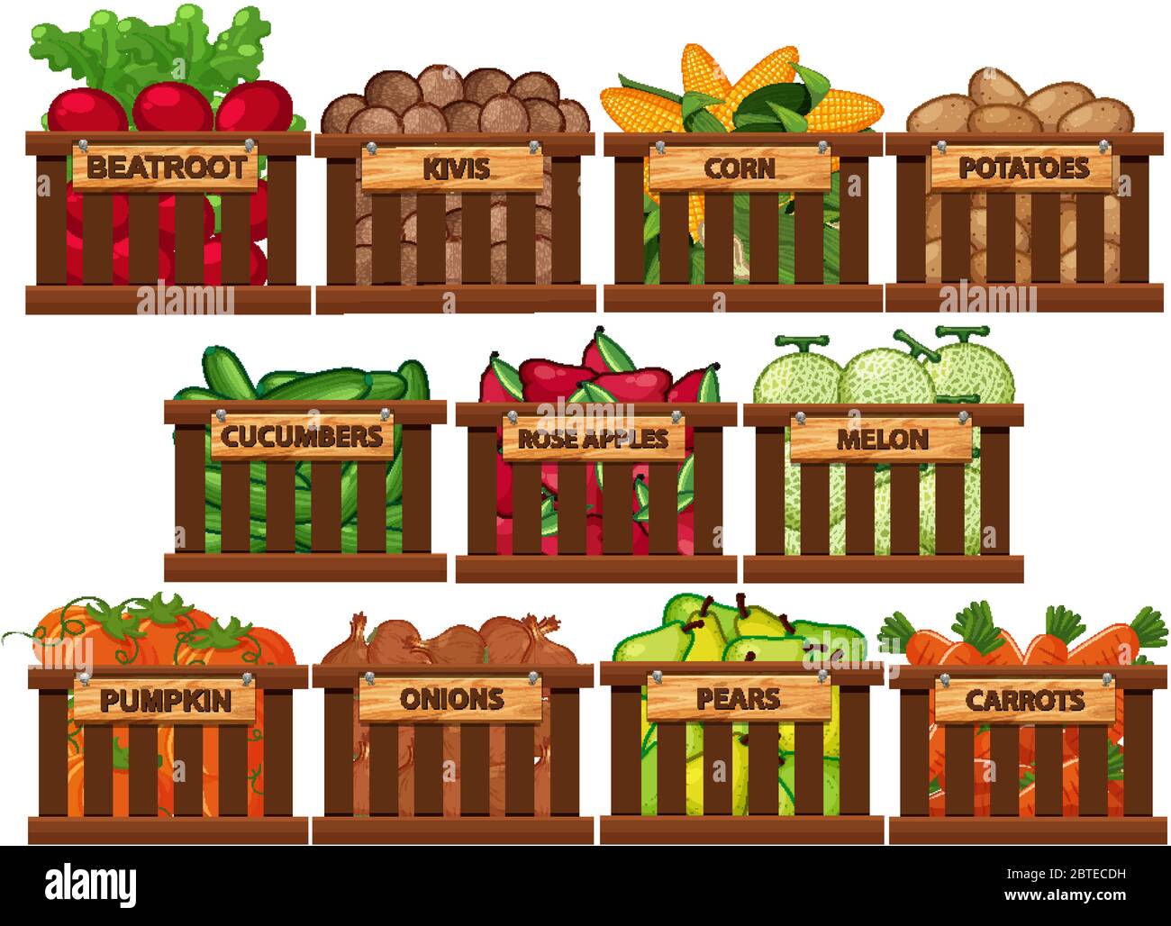Fresh fruits and vegetables in buckets on white background illustration Stock Vector