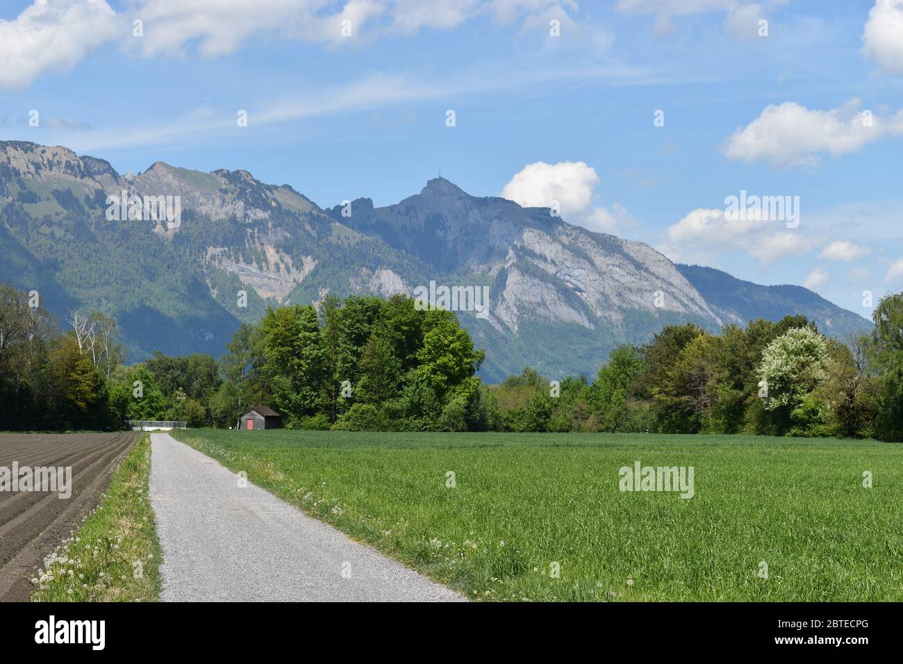 Landscape view in Liechtenstein Stock Photo