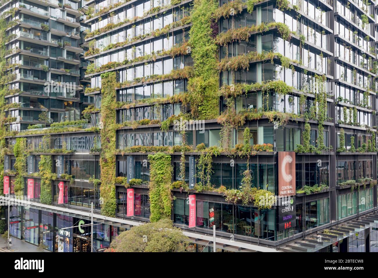 High rise gardening at One Central Park, the Jean Nouvel designed apartment block in Sydney covered in Australian native plants. Stock Photo