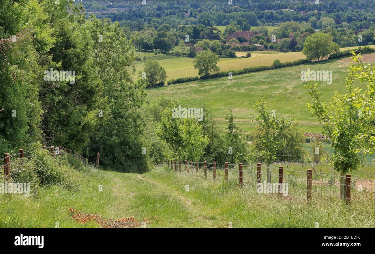 Grass in english countryside oxfordshire hi-res stock photography and ...