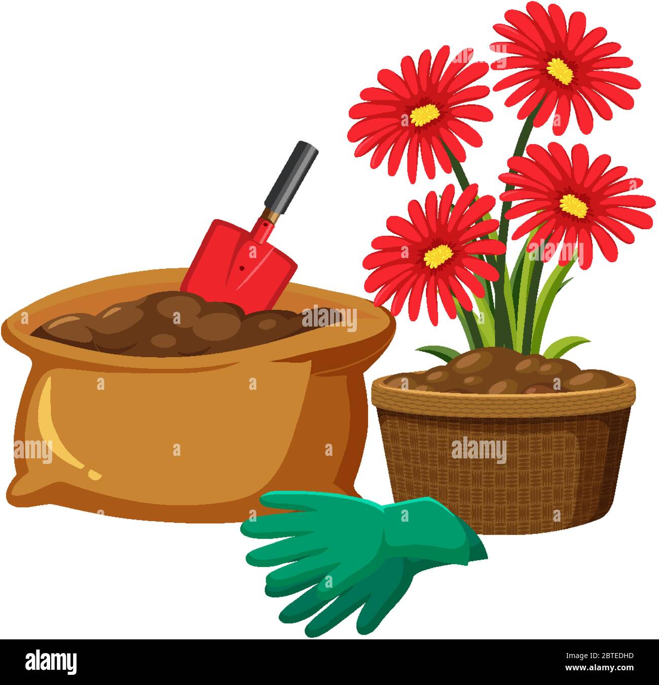 Red flowers in clay pot on white background illustration Stock Vector ...
