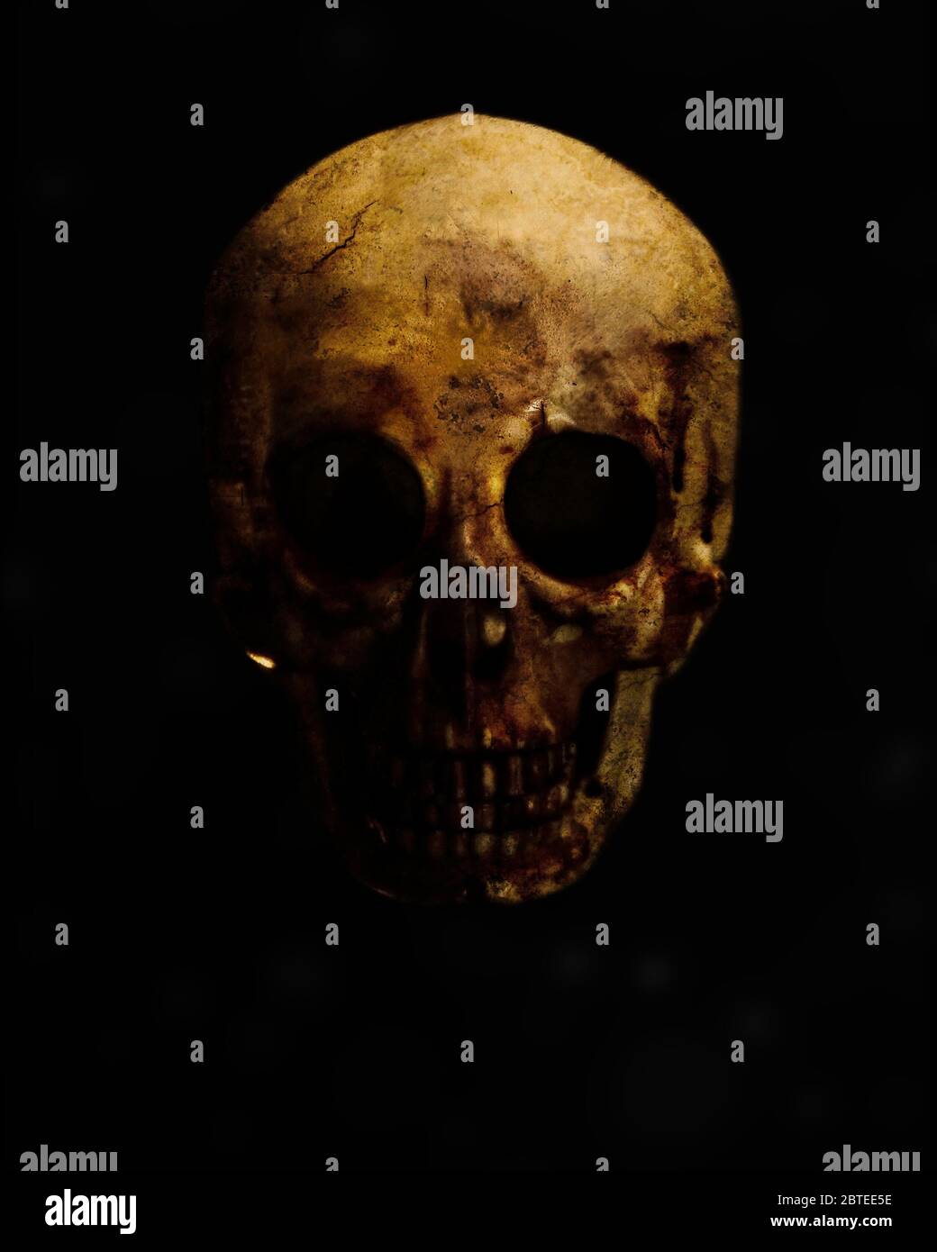 real skull is isolated on black background Stock Photo