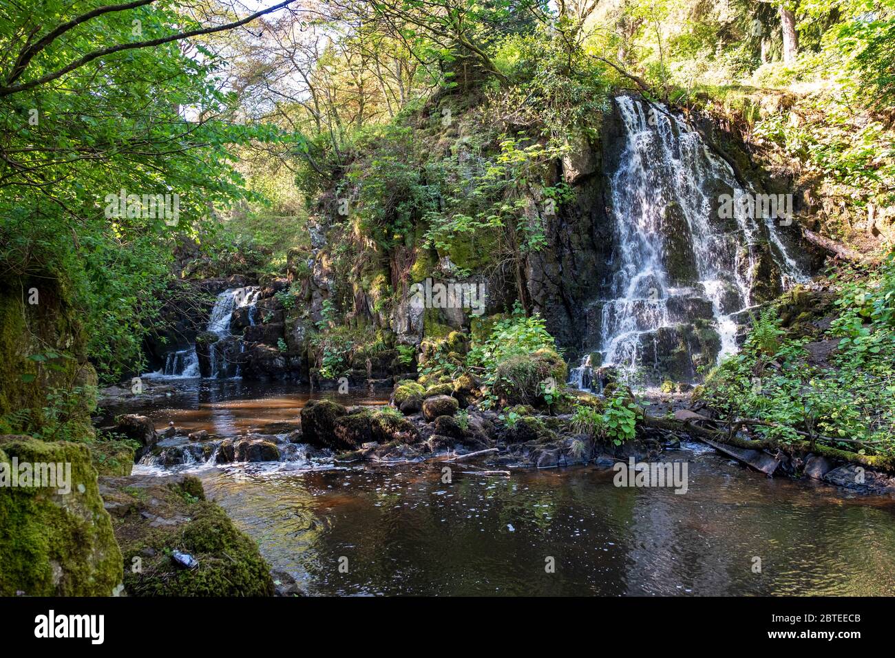 Linn Jaw Waterfall, West Lothian, Scotland. Stock Photo