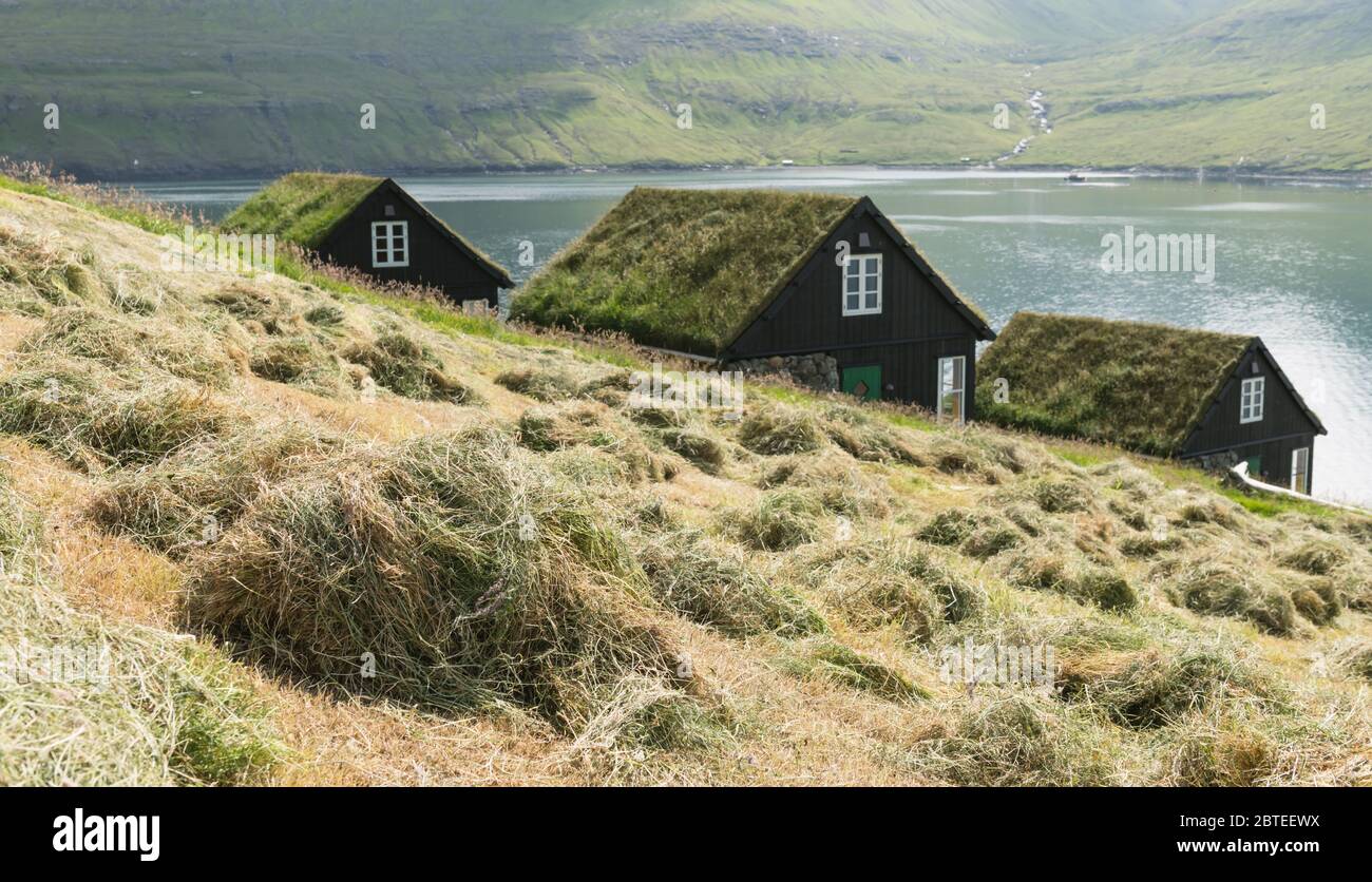 Picturesque view of tradicional faroese grasscovered houses in the