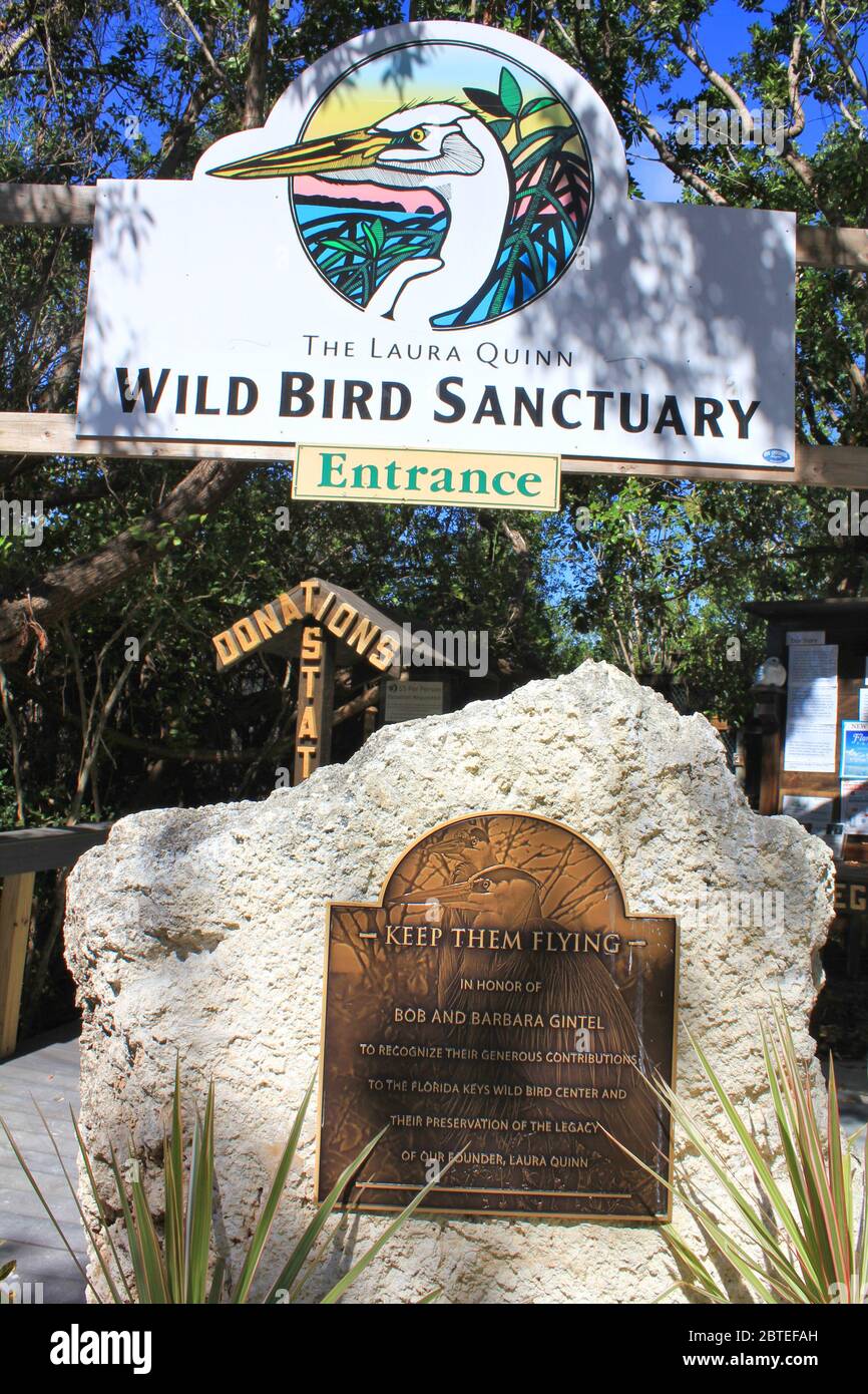FLORIDA KEYS, USA - FEBRUARY 07, 2014: Laura Quinn Wild Bird Sanctuary in Tavernier. The sanctuary in a part of Florida Keys Wild Bird Rehabilitation Stock Photo