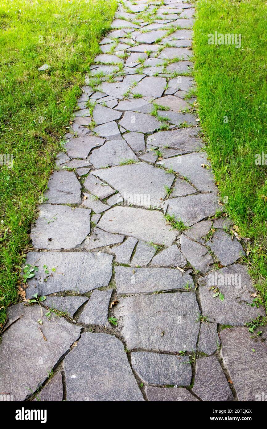 Stone-Paved Garden Pathway Surrounded by Greenery - Stock Image