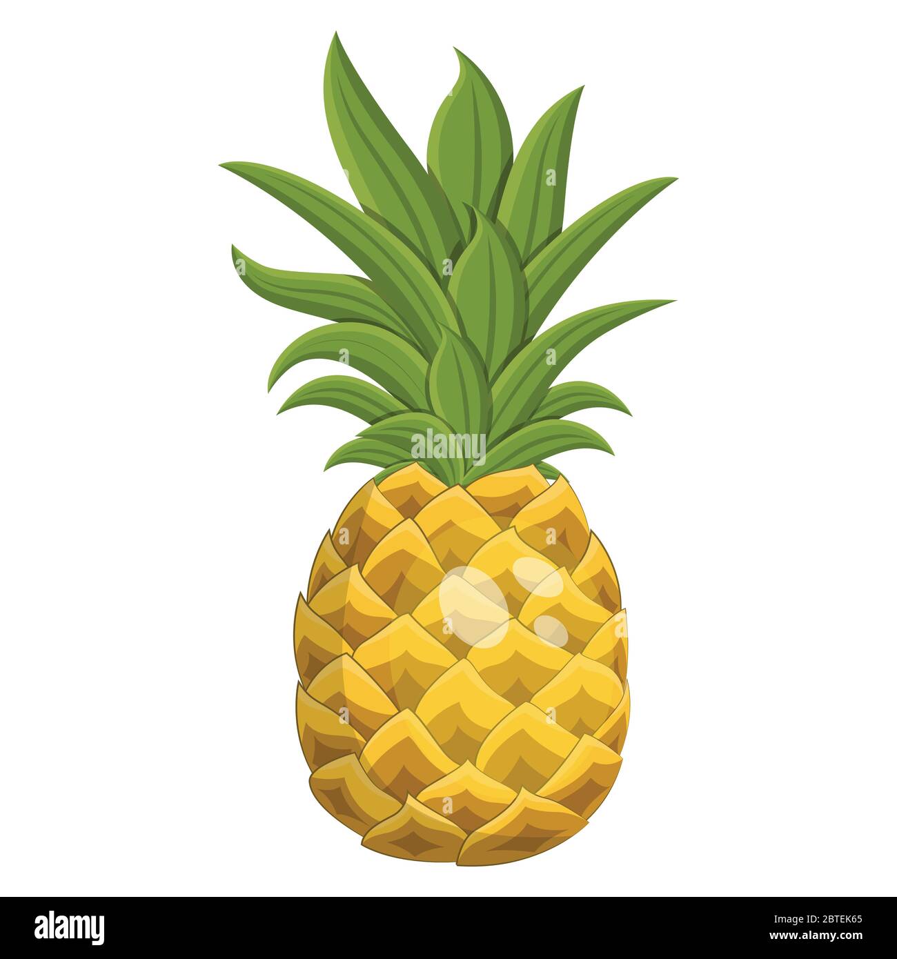 Cartoon ripe pineapple fruit, vector illustration Stock Vector Image ...