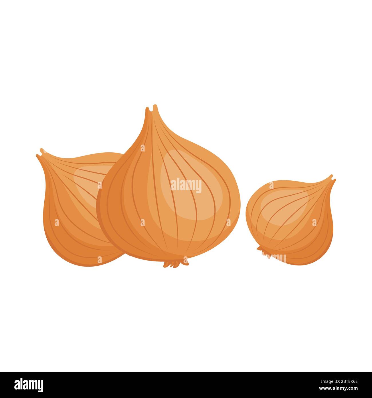 Cartoon whole white onion bulbs Stock Vector Image & Art - Alamy