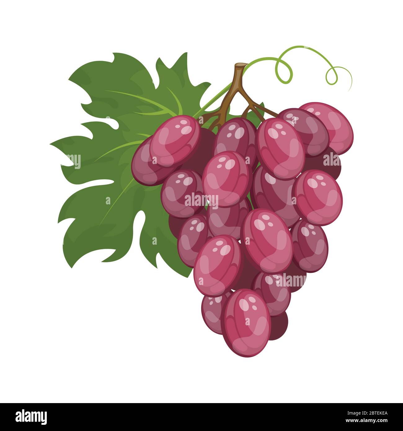 Cartoon ripe red grapes branch Stock Vector Image & Art - Alamy