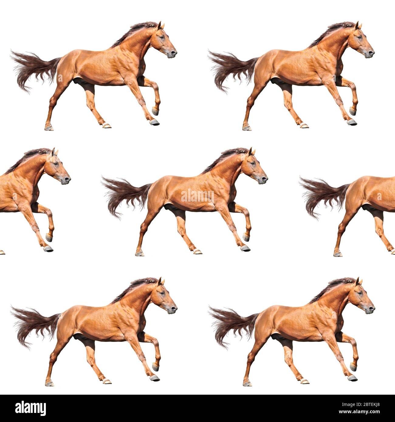 Seamless pattern photo red galloped horse creative illustration. Stock Photo